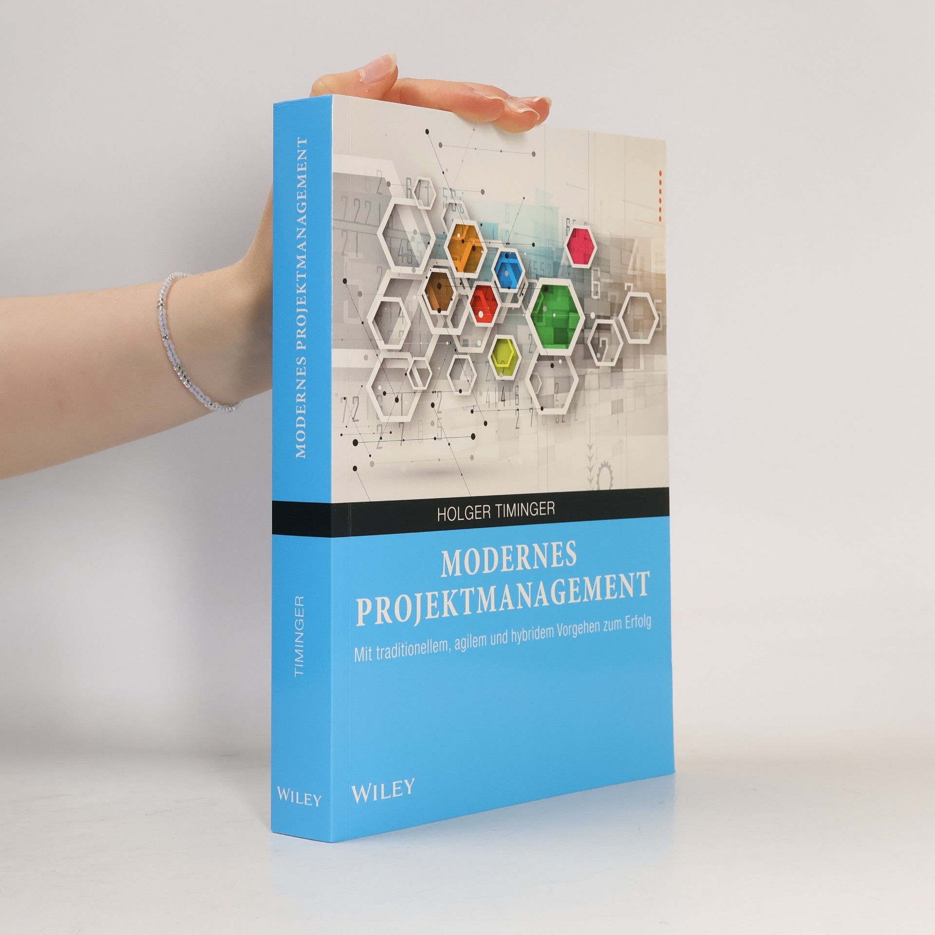 Holger Timinger Modernes Projektmanagement