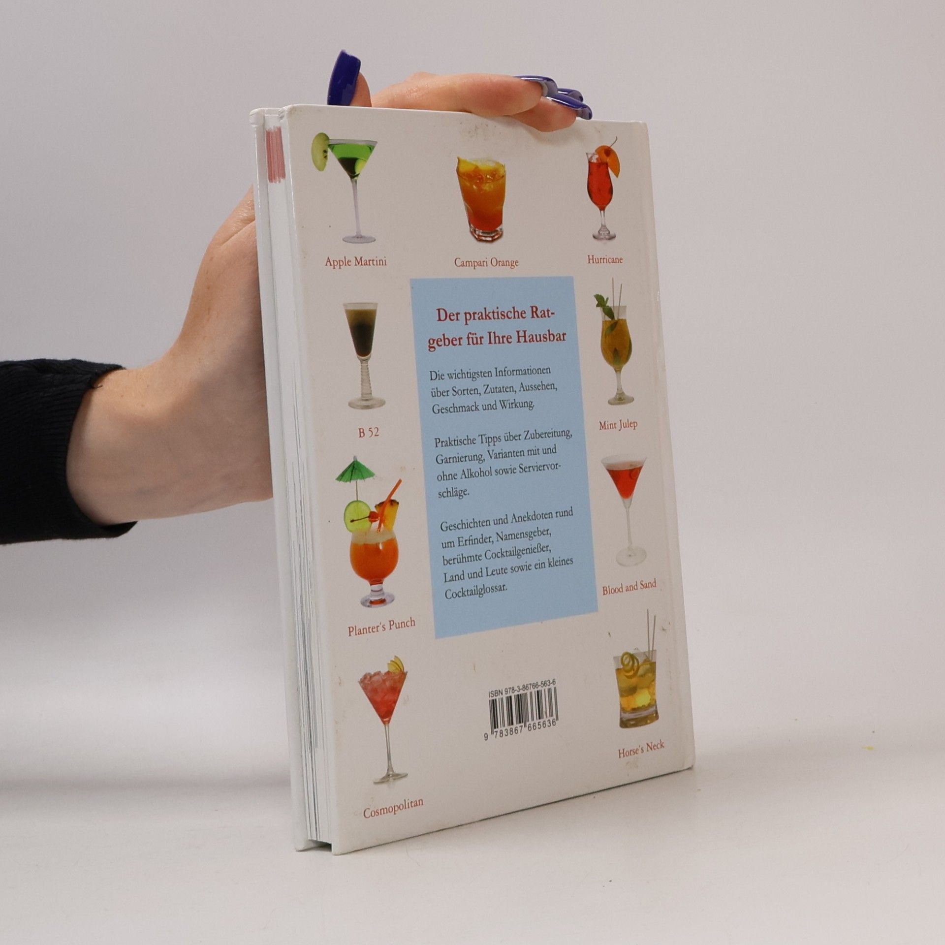 Auteurscollectief Die leckersten Cocktails der Welt