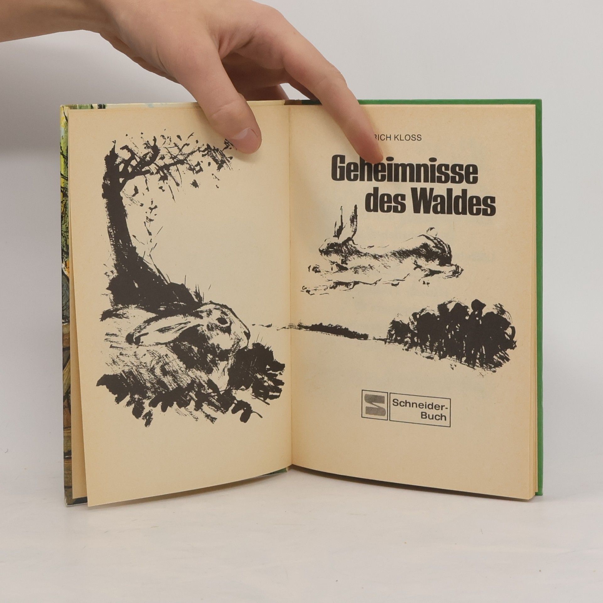 Erich Kloss Geheimnisse des Waldes