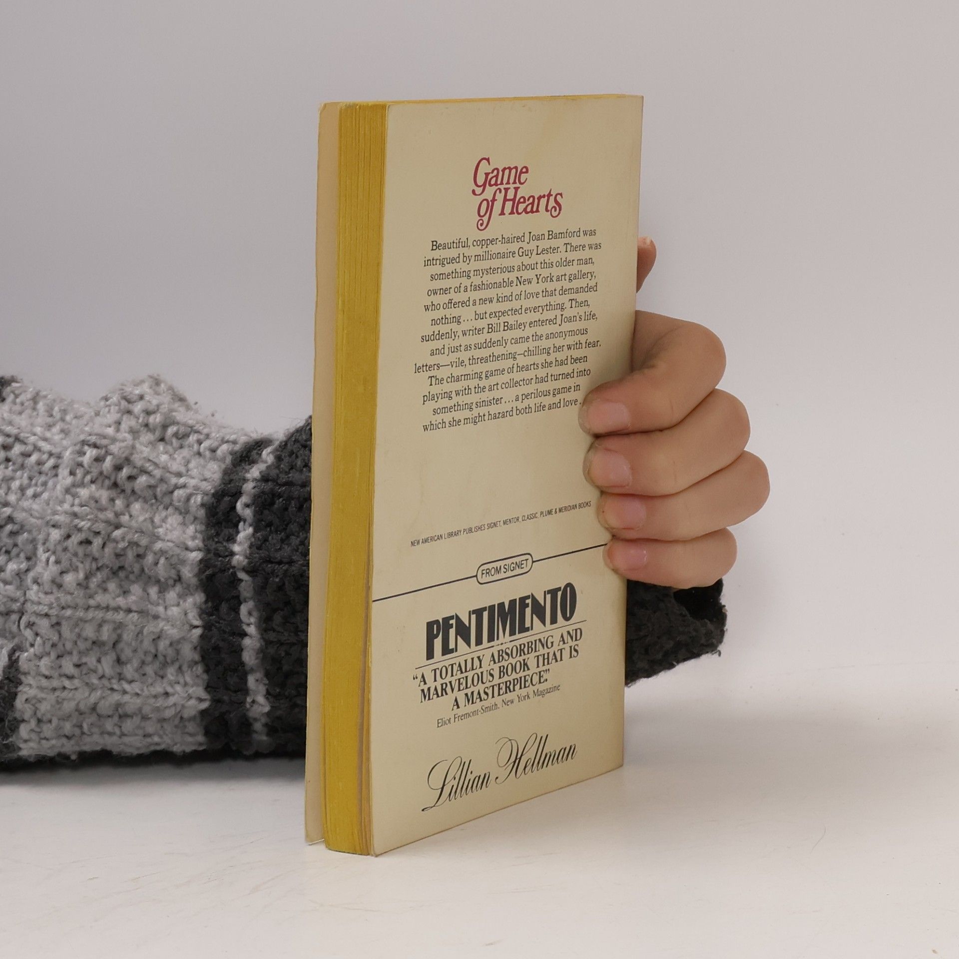 Elizabeth McCracken A Sudden Darkness