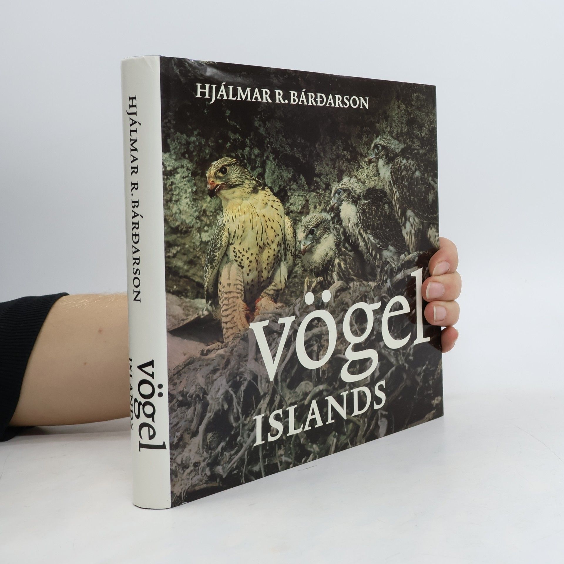 Guide to the Birds of Iceland