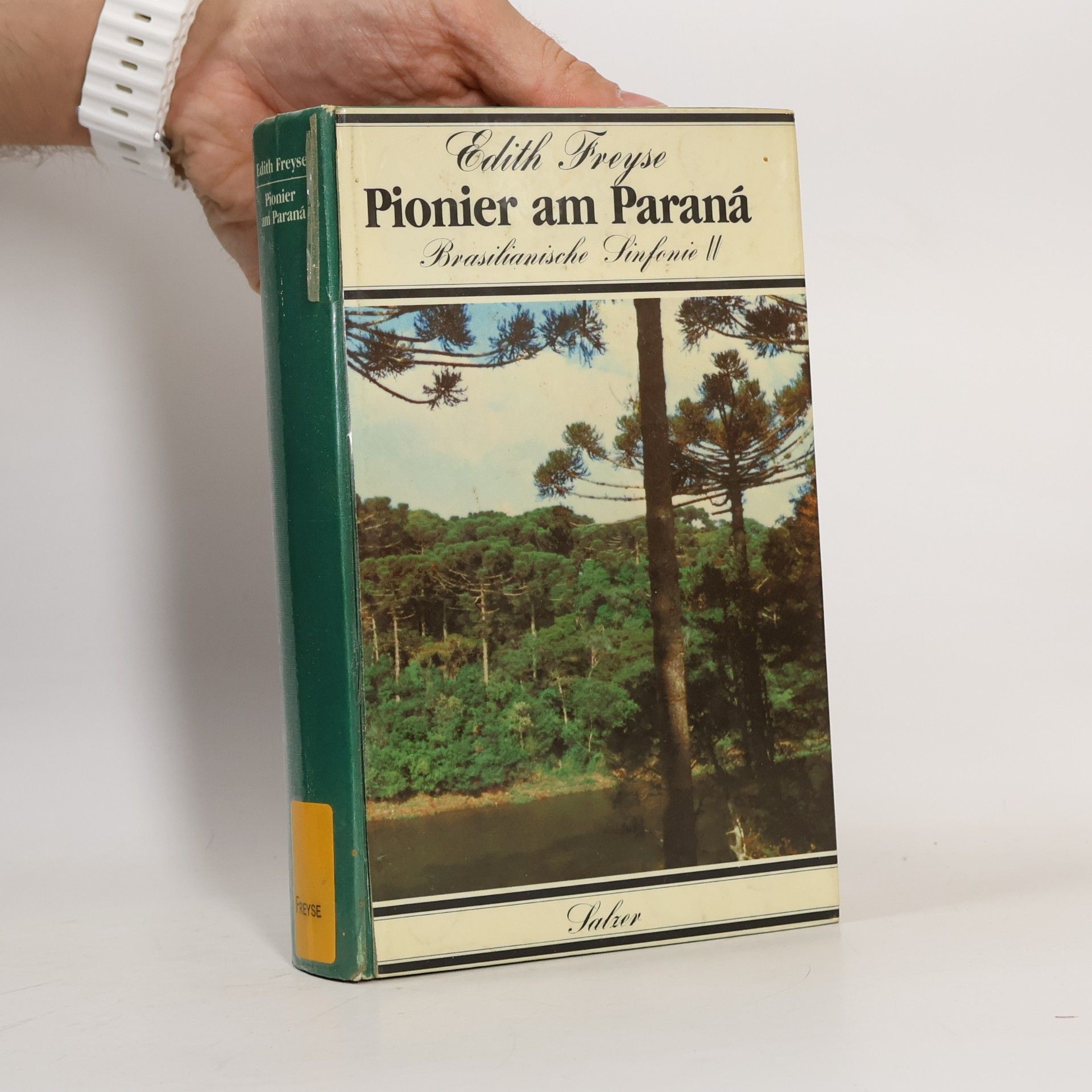 Pionier am Paraná