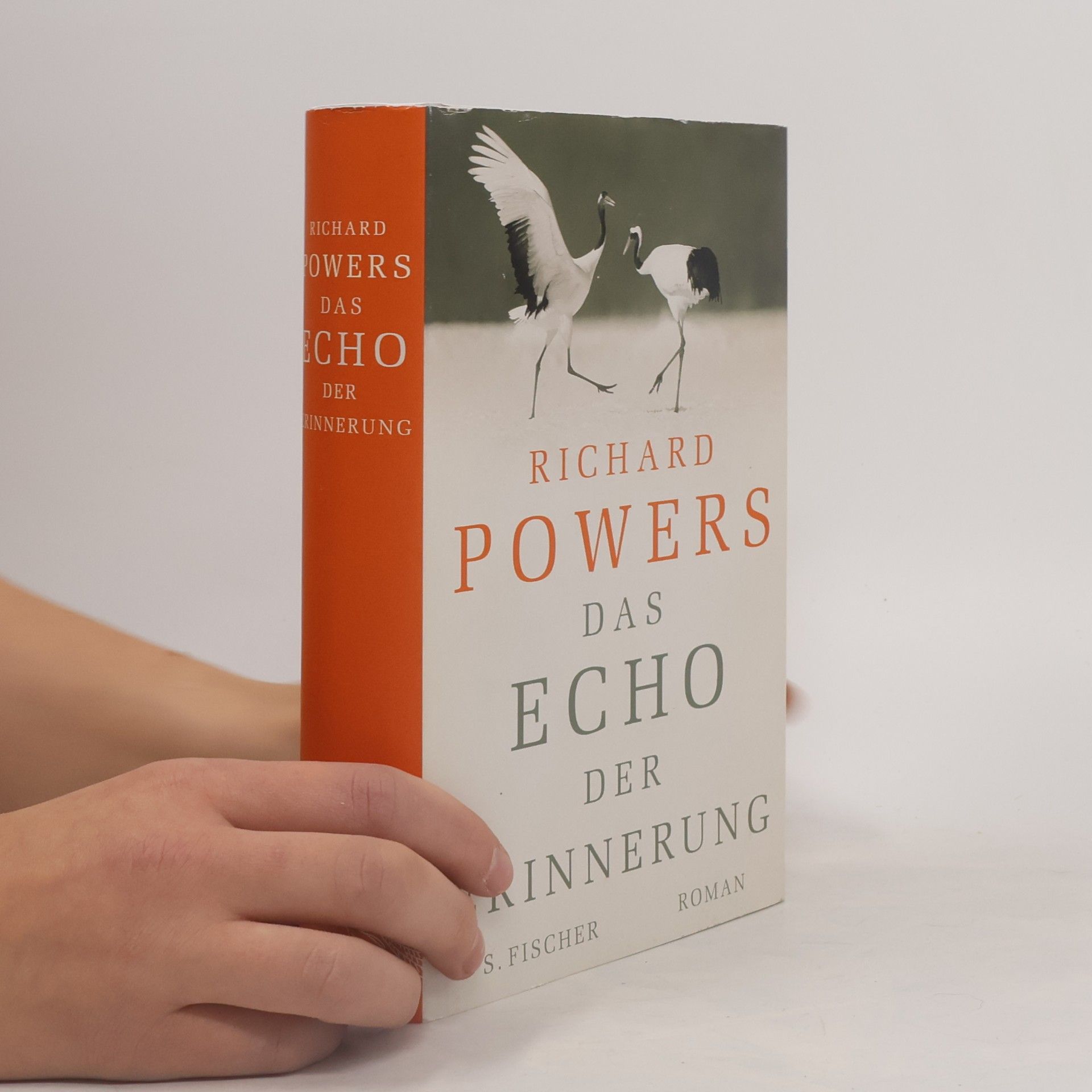 Richard Powers Das Echo der Erinnerung