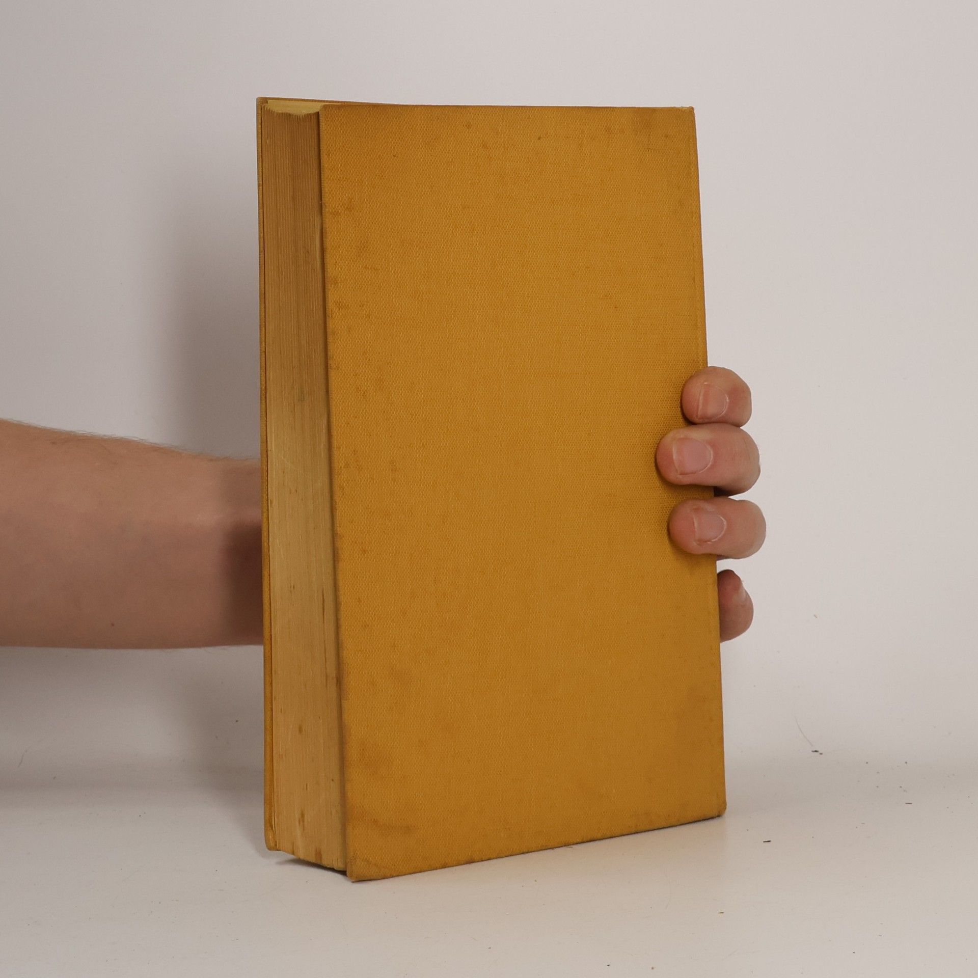Phyllis Brett-Young Die Tochter des Zufalls