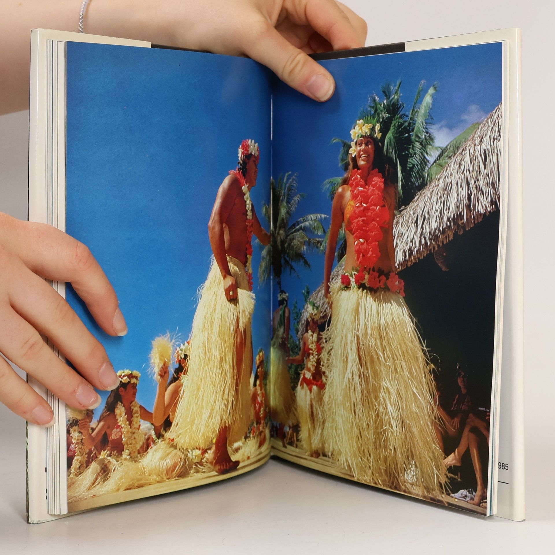 Tahiti und seine Trauminseln