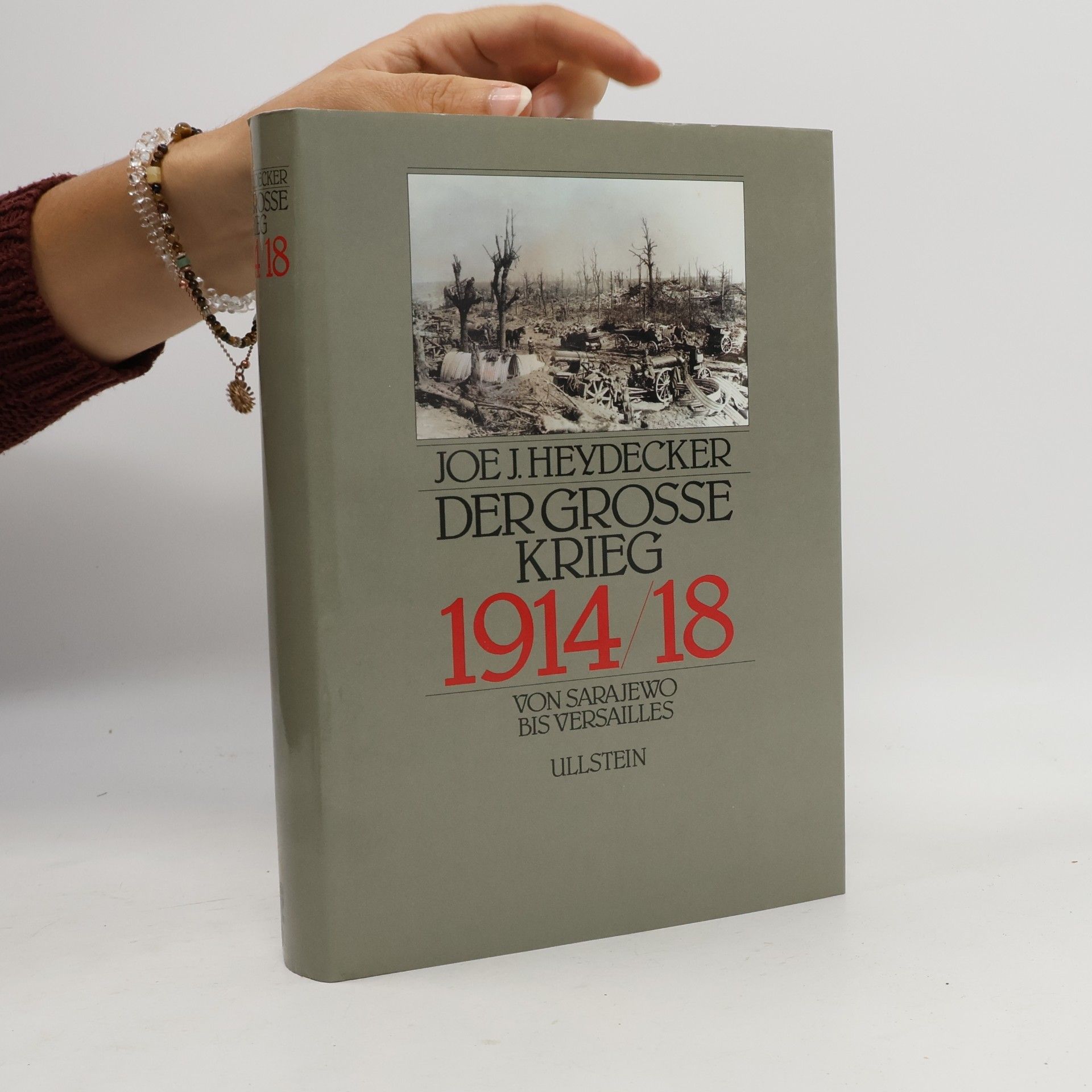 Der Grosse Krieg 1914-1918