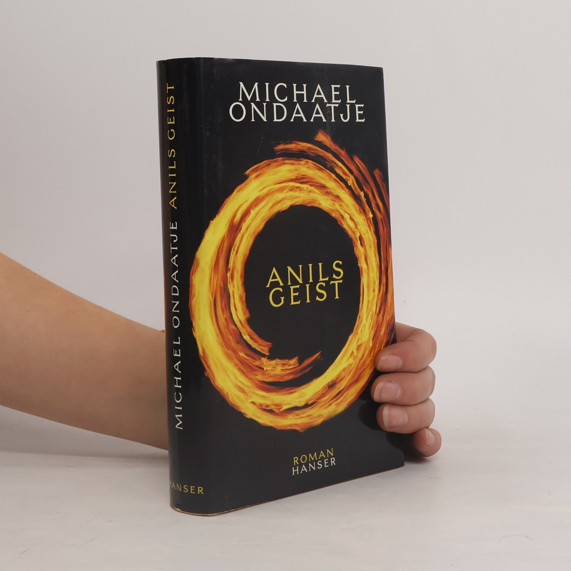 Michael Ondaatje Anils Geist
