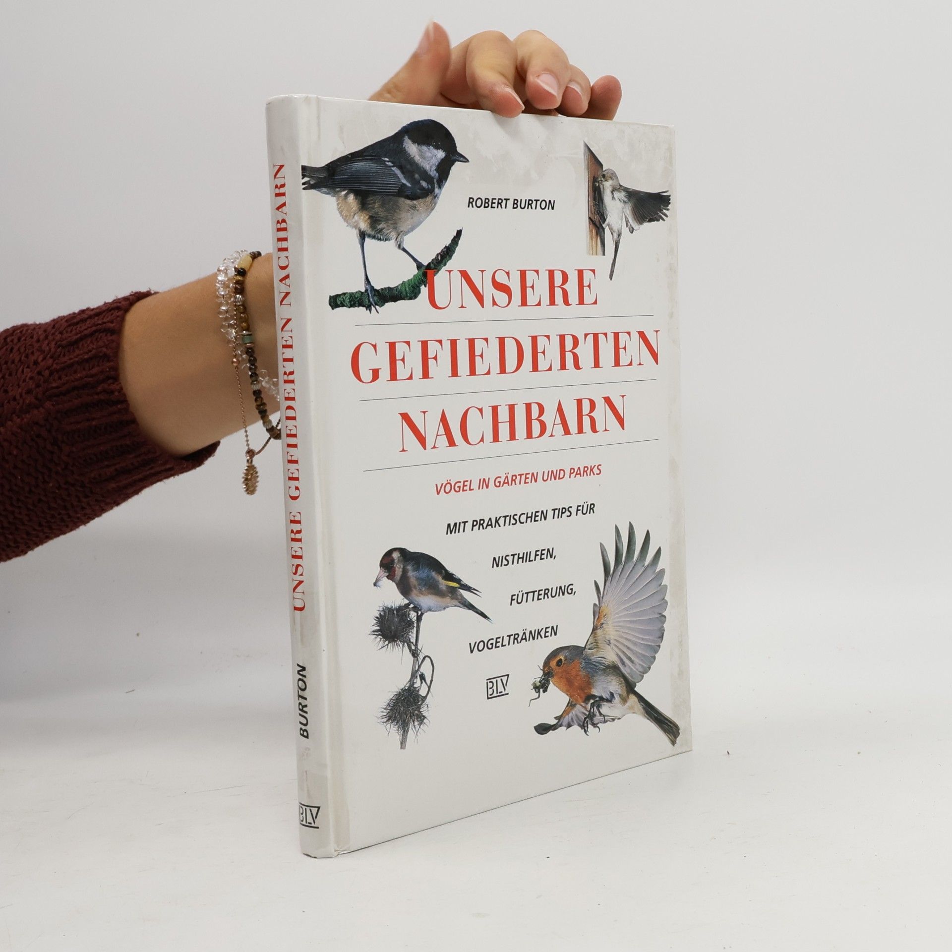 Unsere gefiederten Nachbarn