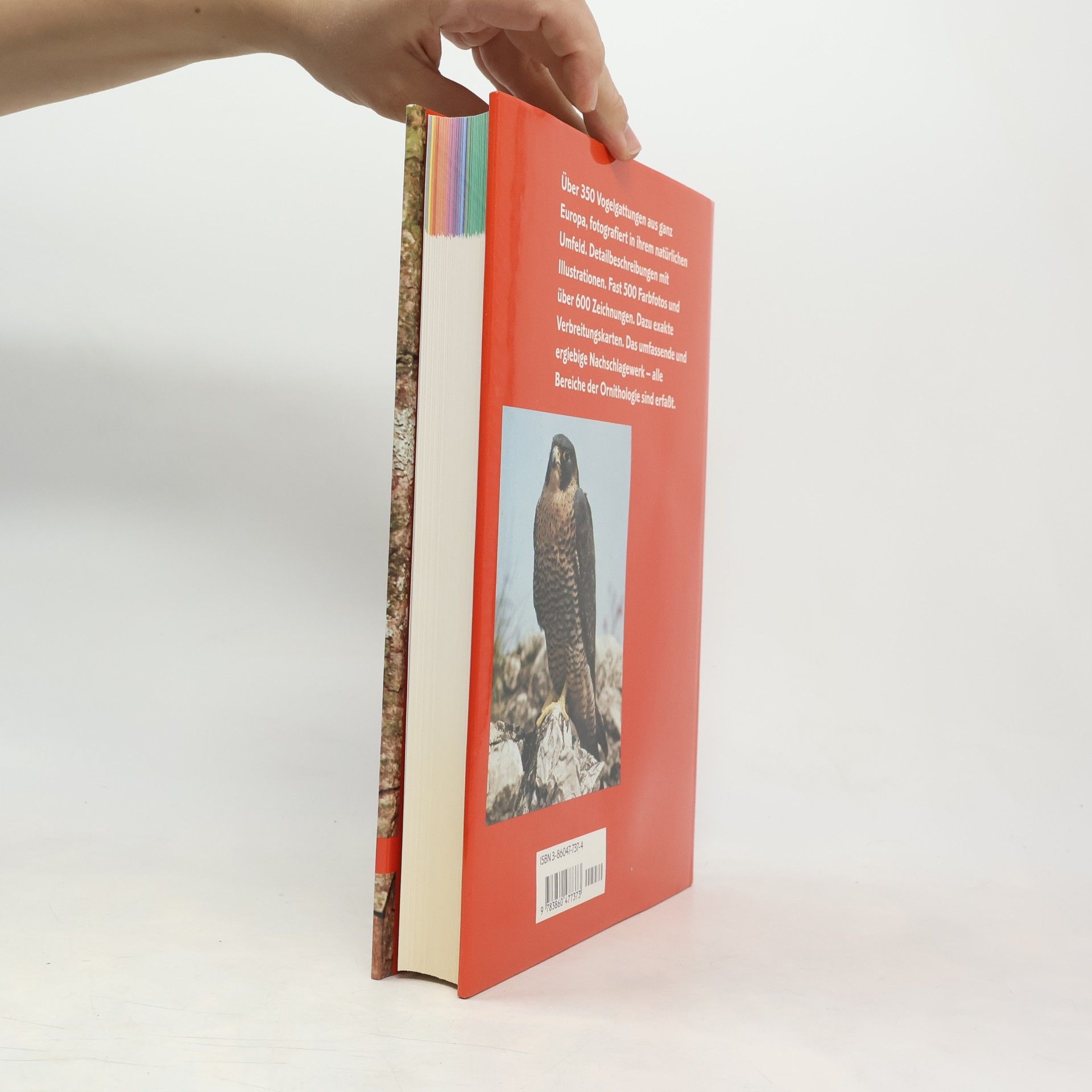 Karel Šťastný Vögel. Handbuch und Führer der Vögel Europas
