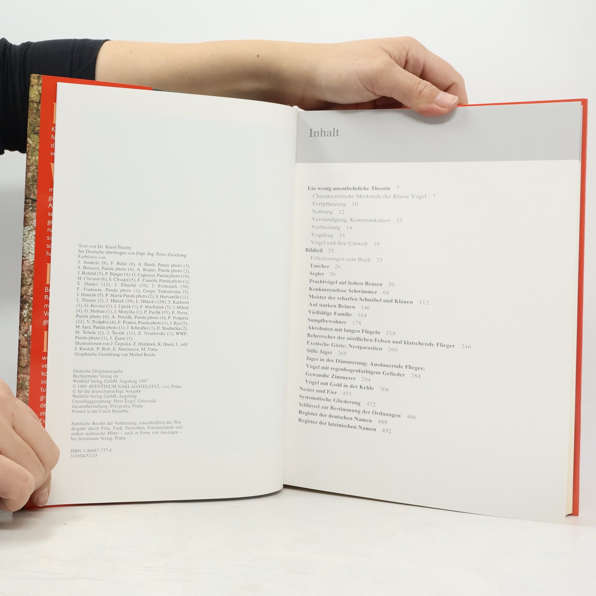 Karel Šťastný Vögel. Handbuch und Führer der Vögel Europas