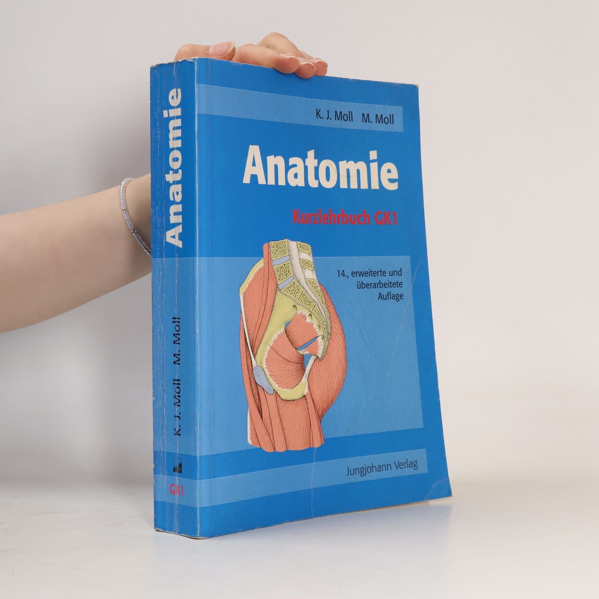 Anatomie