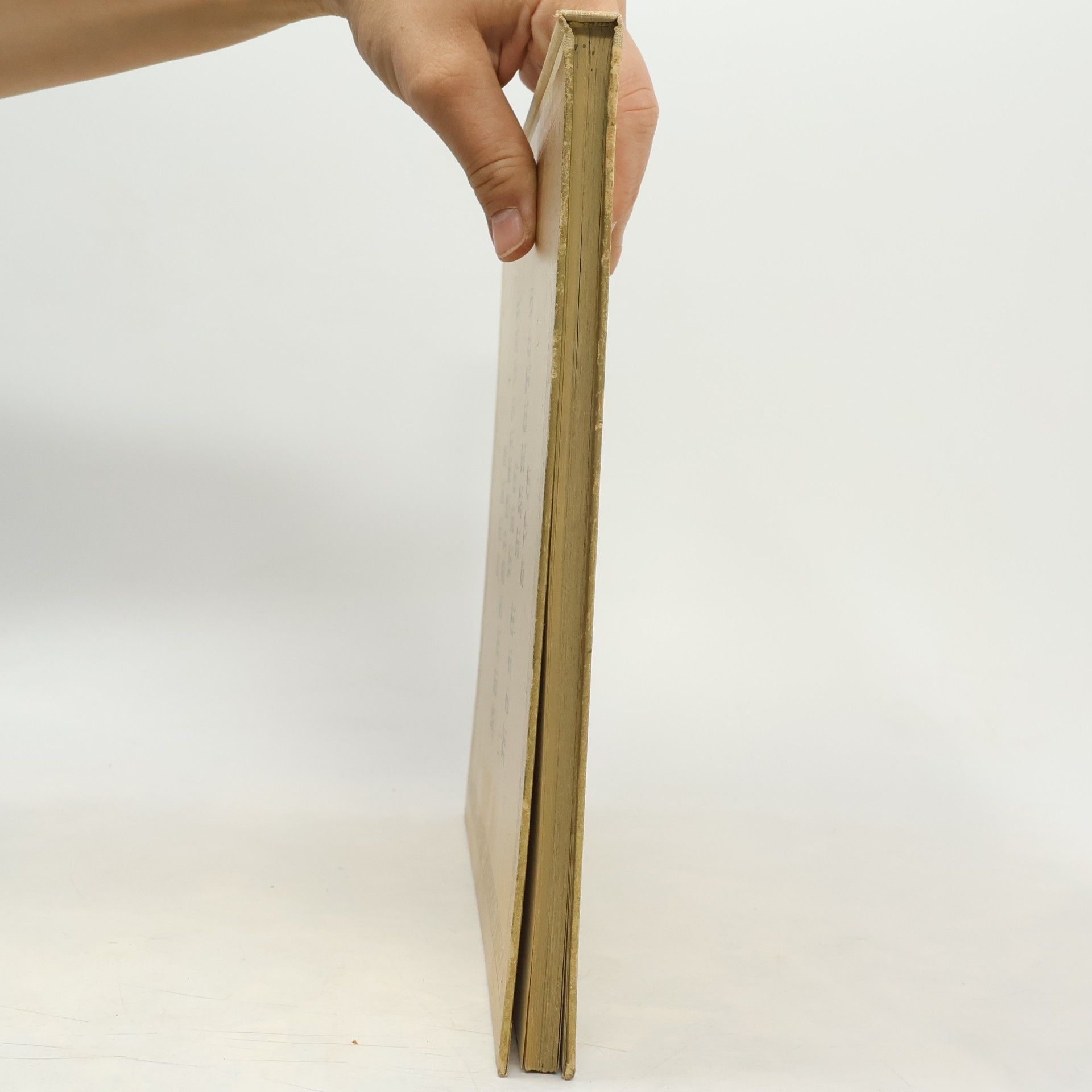 Eveline Amstutz Das goldene Buch der italienischen Seen