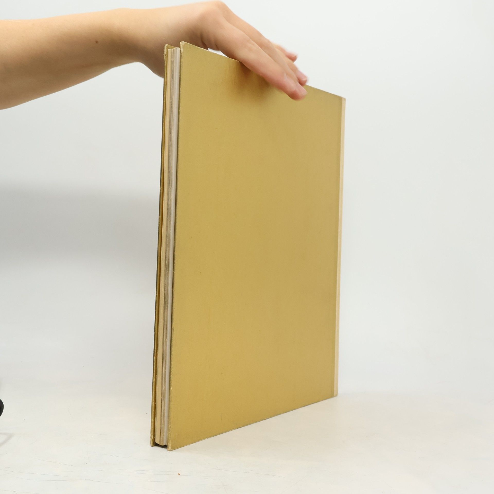 Eveline Amstutz Das goldene Buch der italienischen Seen