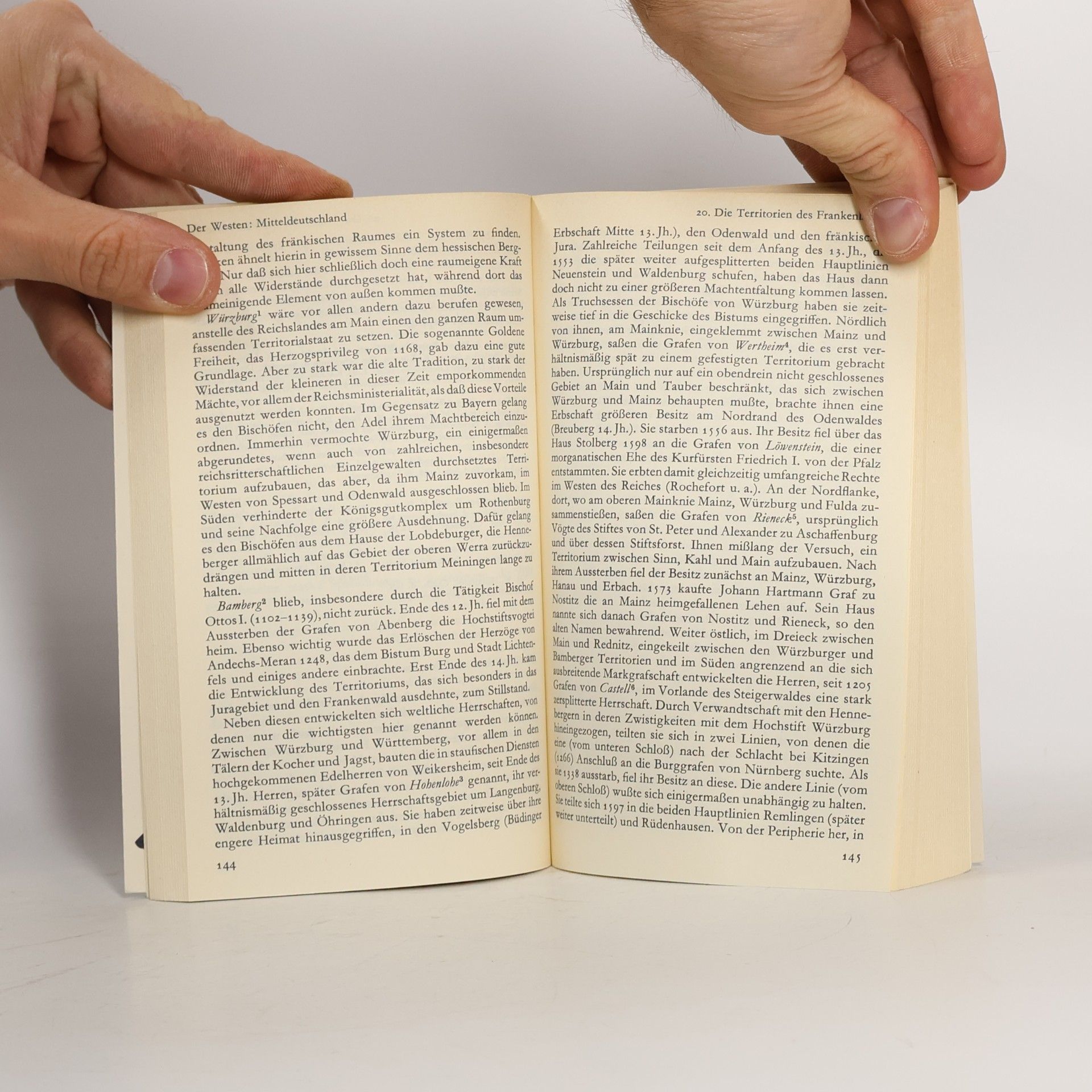 Celestino Piatti Gebhardt Handbuch der deutschen Geschichte Band 13