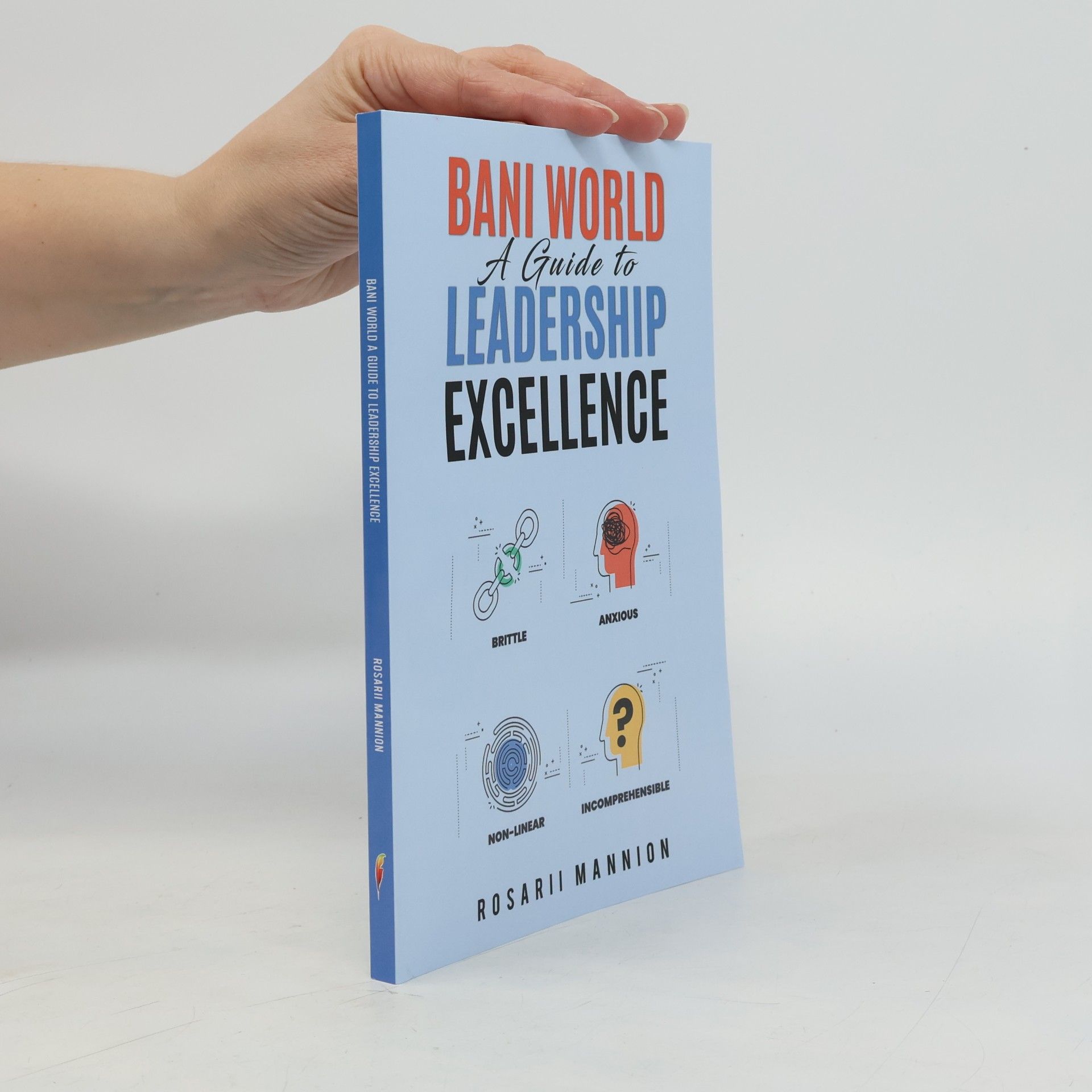 Rosarii Mannion BANI World: A Guide to Leadership Excellence