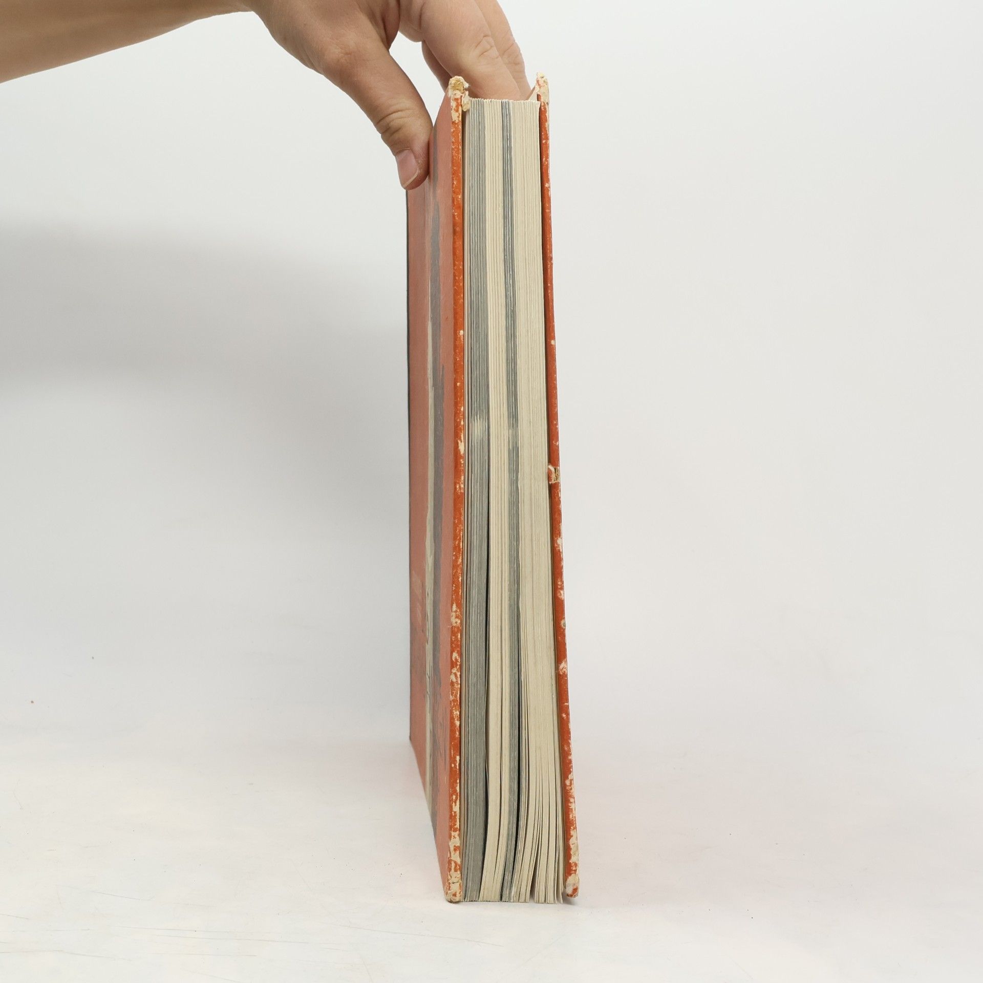 Heiss Friedrich Das Böhmen und Mähren-Buch. Volkskampf und Reichsraum.