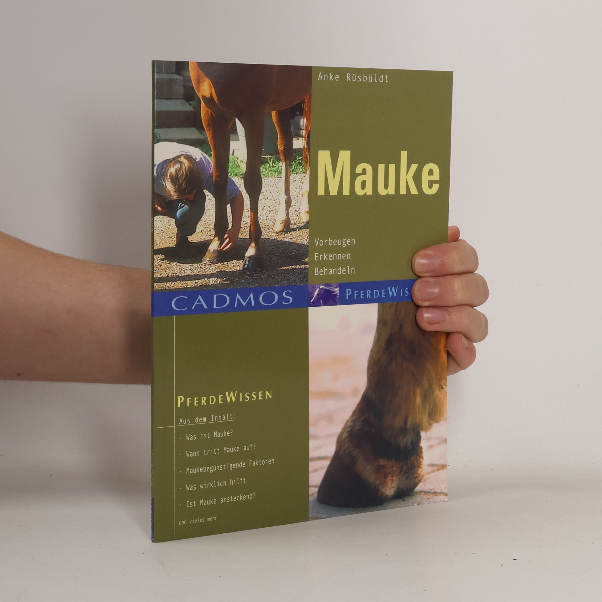Mauke