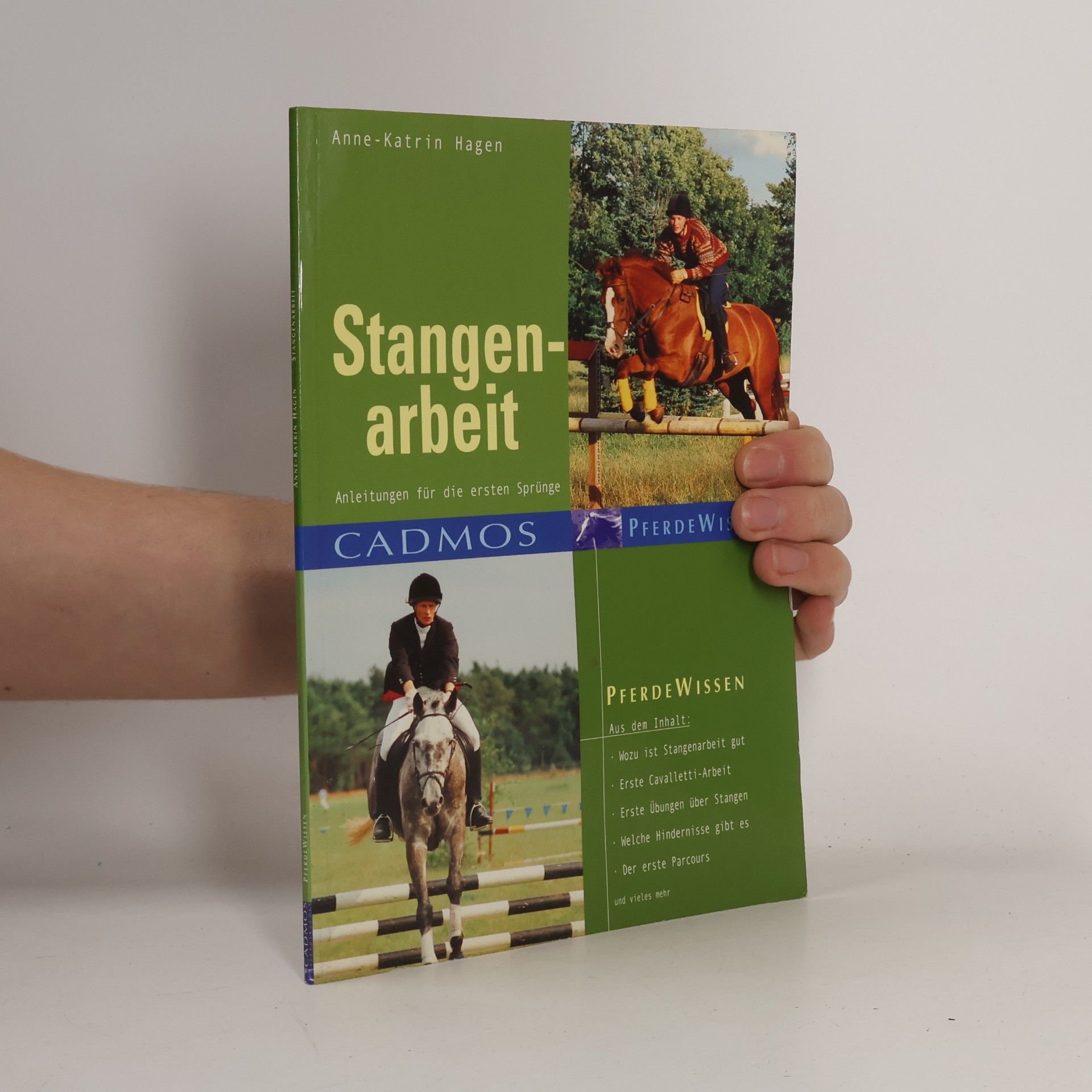 Anne Katrin Hagen Stangenarbeit