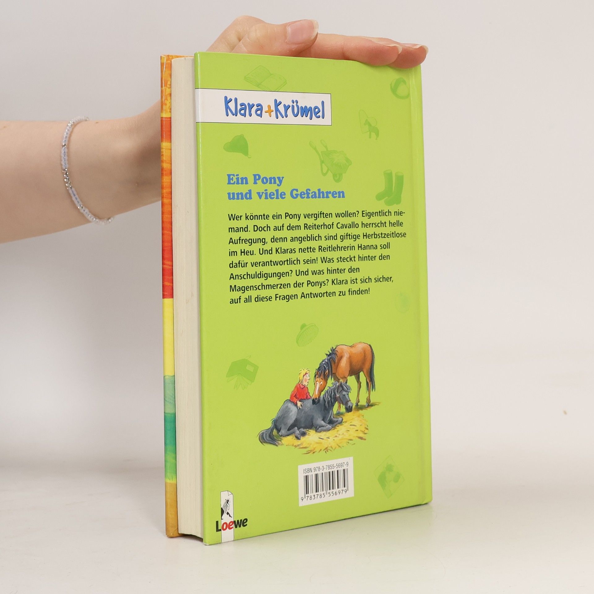 Anne Bachner Klara + Krümel. Ein Pony und viele Gefahren
