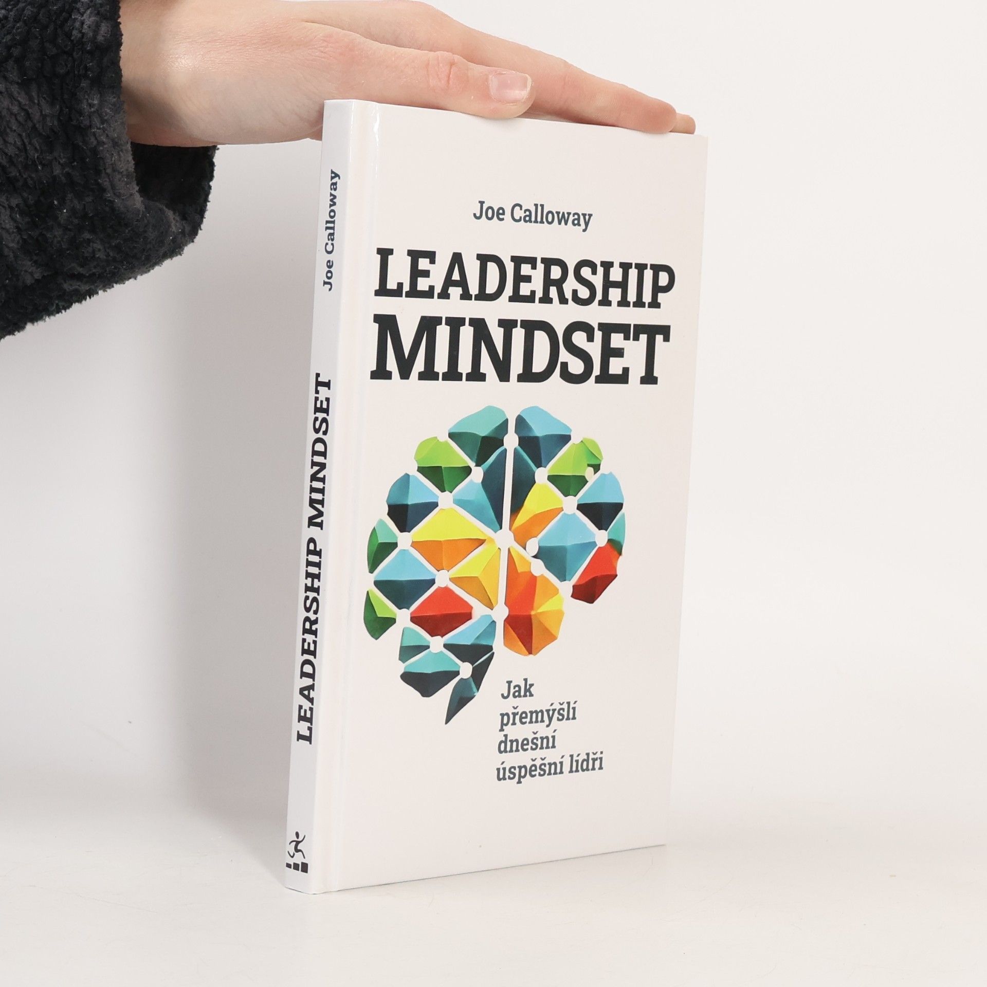 Leadership mindset
