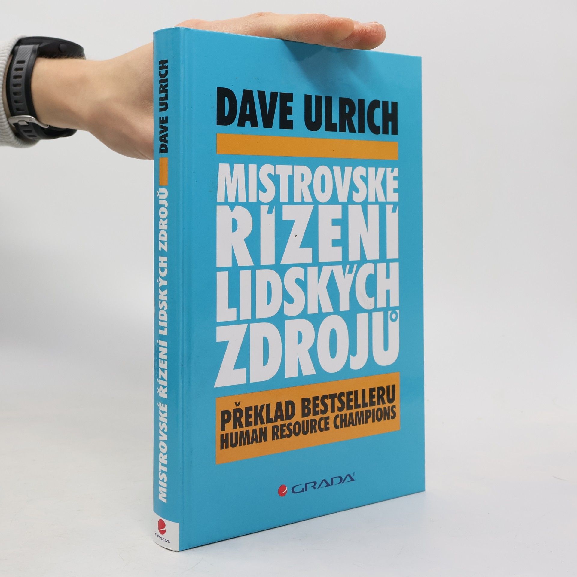 Mistrovské řízení lidských zdrojů