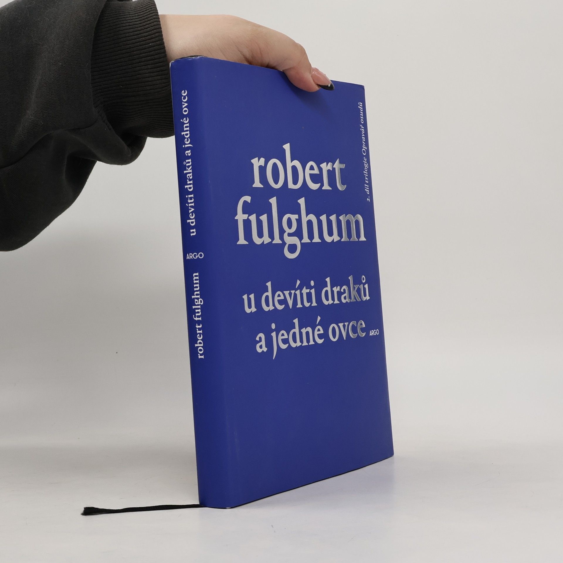 U devíti draků a jedné ovce: 2. díl trilogie Opravář osudů
