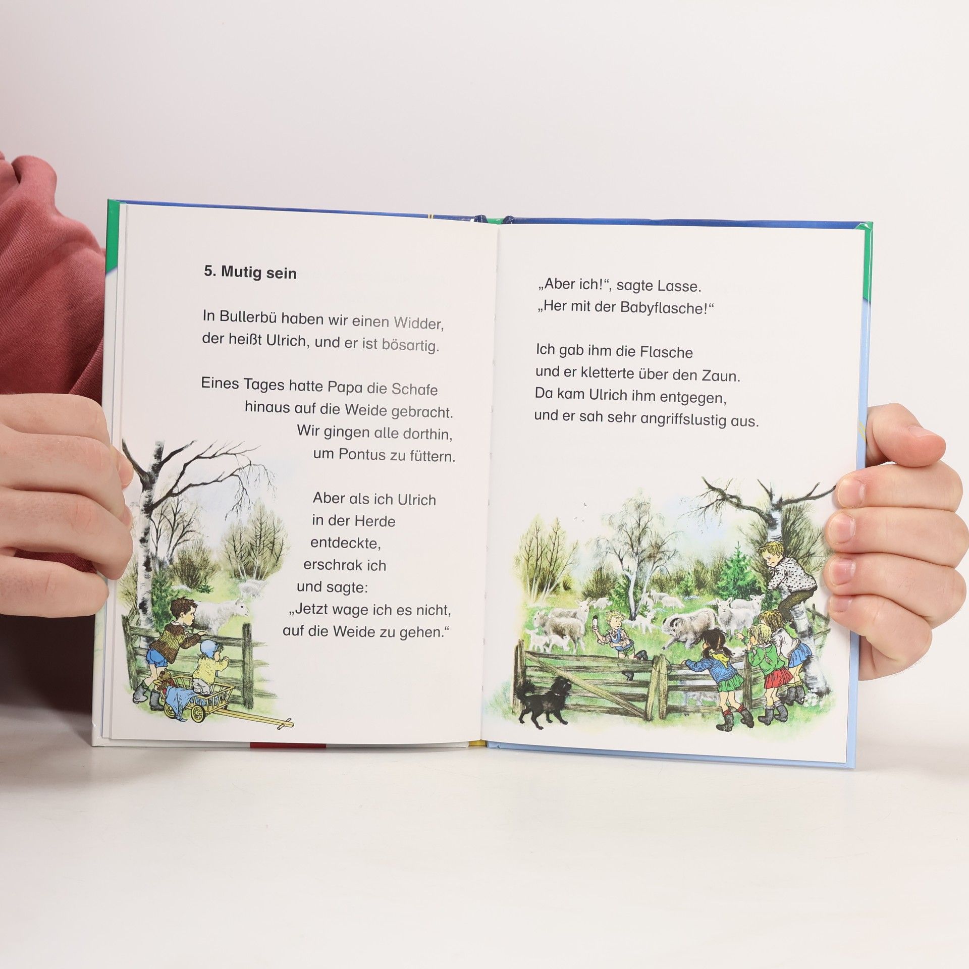 Astrid Lindgren Lustiges Bullerbü