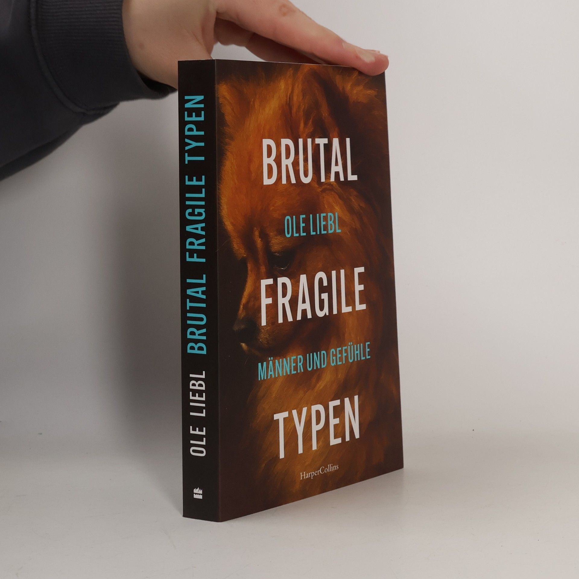 Ole Liebl Brutal fragile Typen. Männer und Gefühle