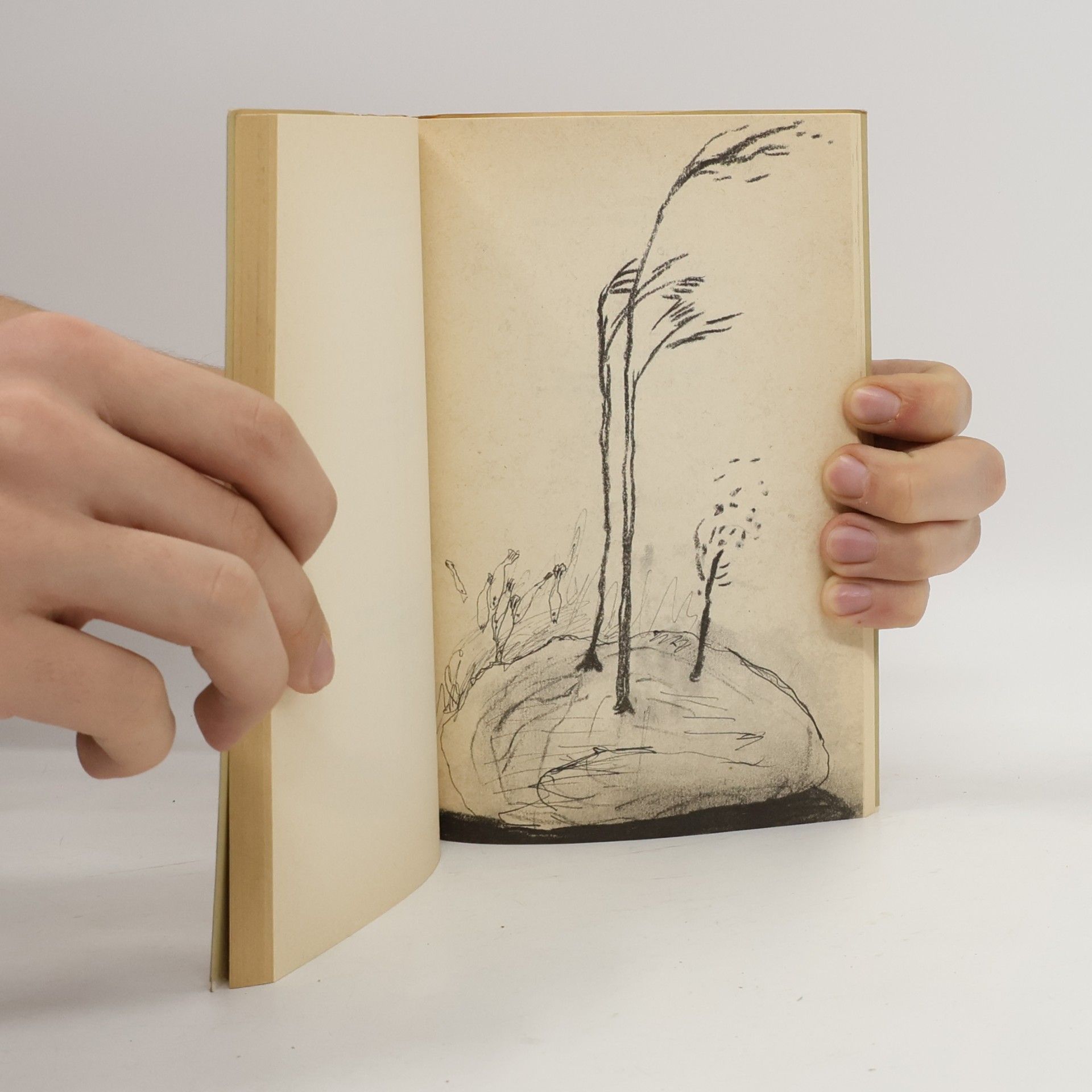 Macuo Bašó Bibliothek des Herrn Parnok: Hundertundelf Haiku