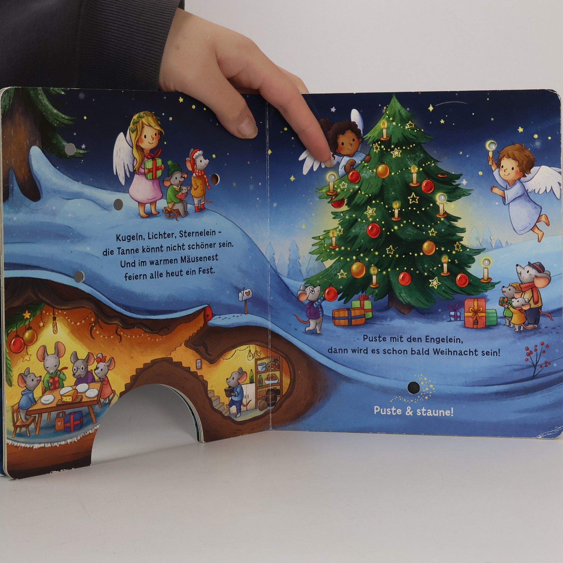 Christina Nömer Mein Puste-Licht-Buch: Es wird Weihnachten, kleine Maus