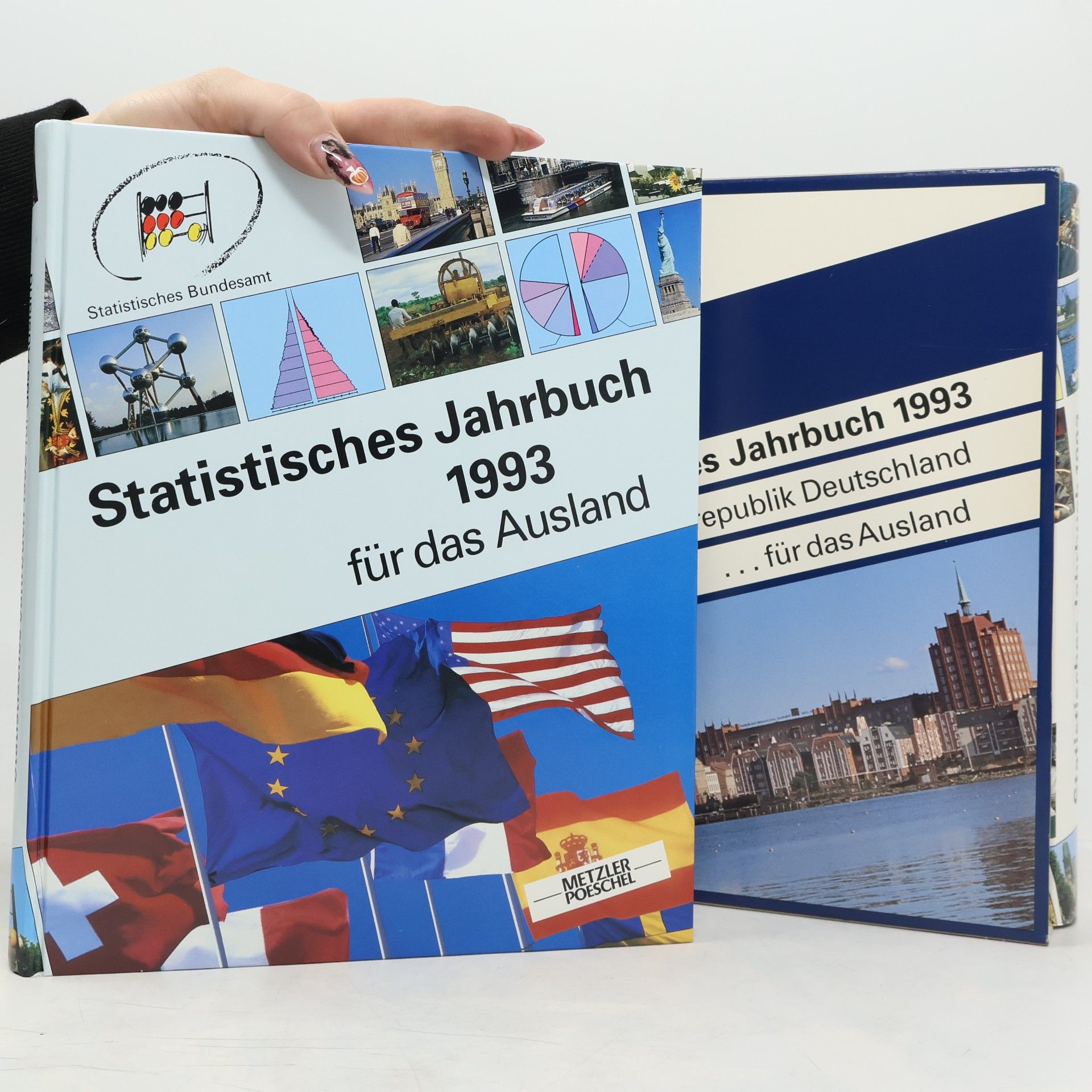Statistisches Bundesamt Statistisches Jahrbuch 1993