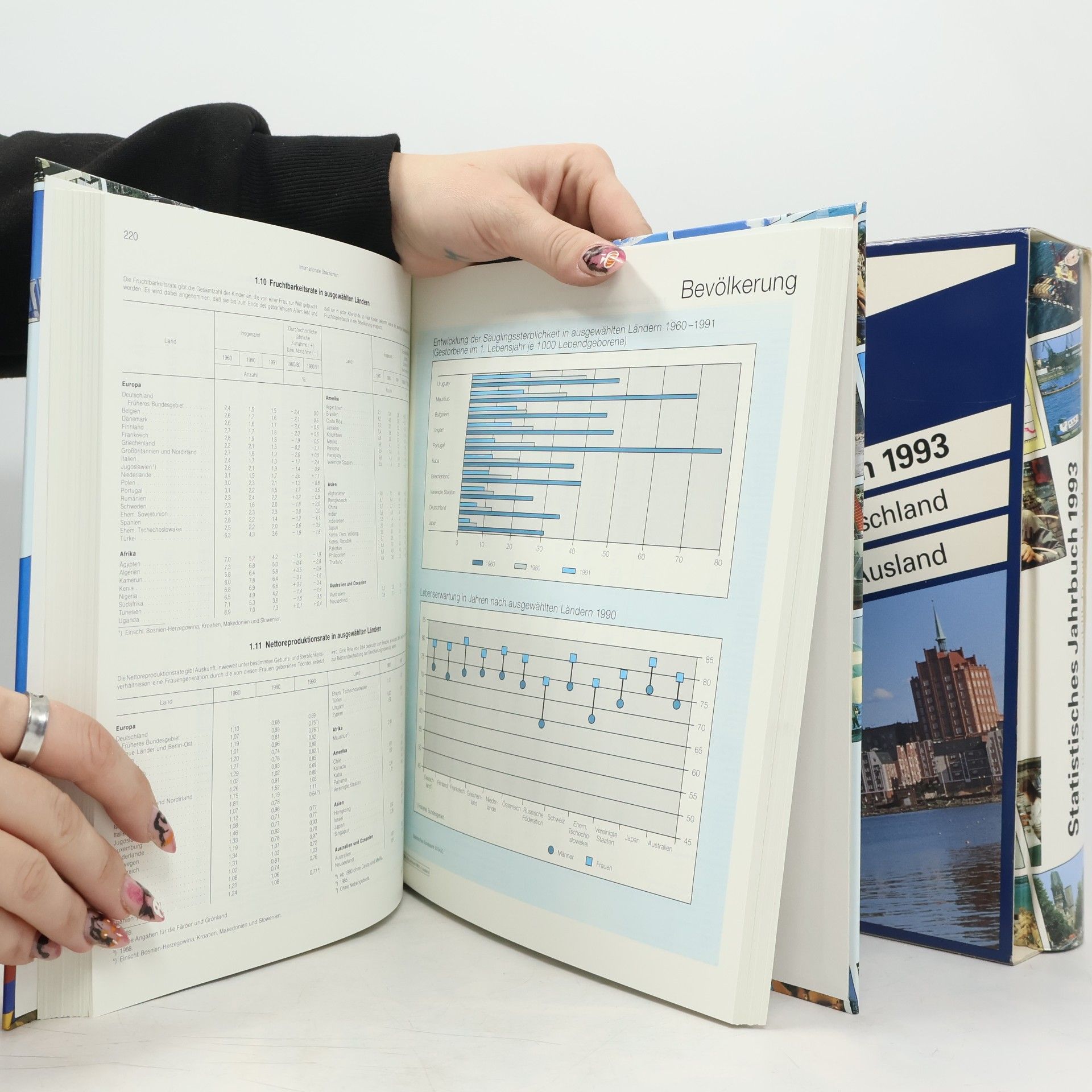 Statistisches Bundesamt Statistisches Jahrbuch 1993