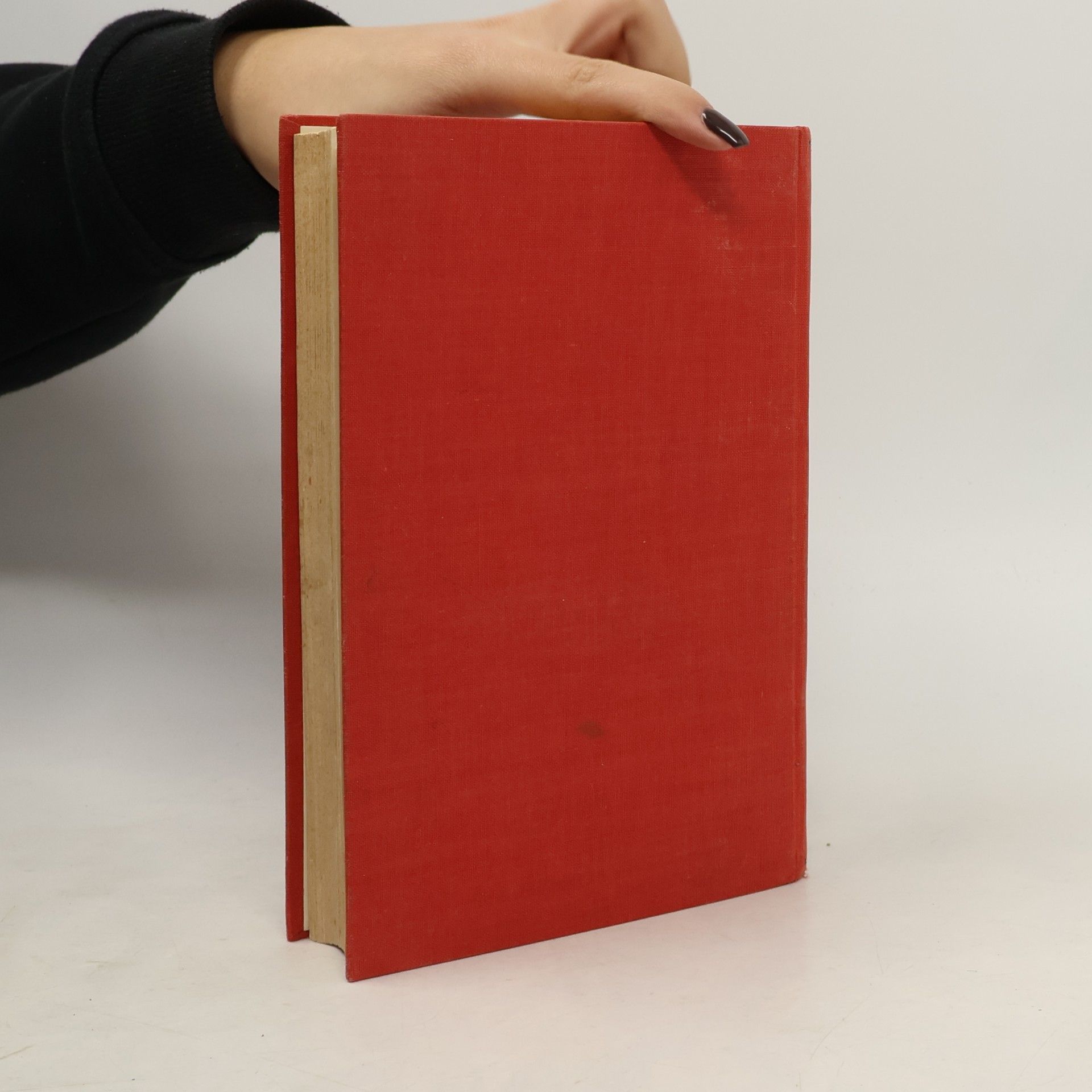 Clara Ebert-Stockinger Das Buch der Hausfrau