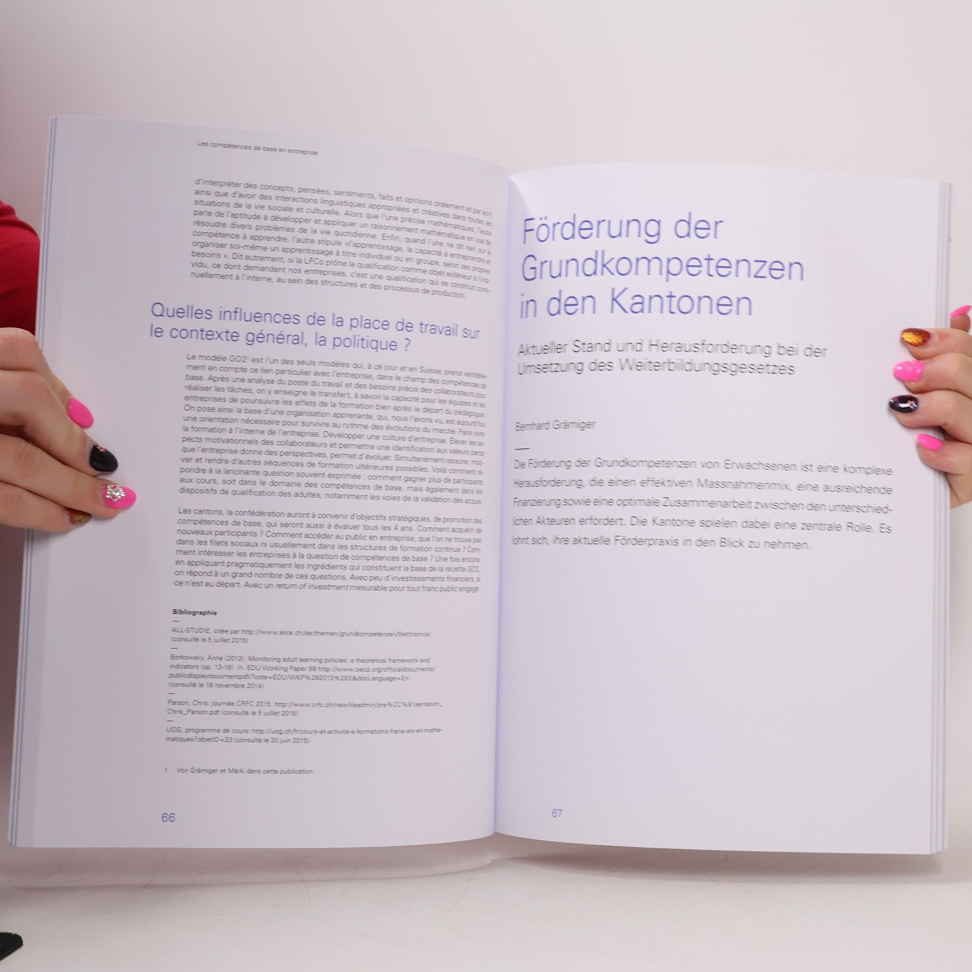 Matthias Aebischer Grundkompetenzen von Erwachsenen fördern