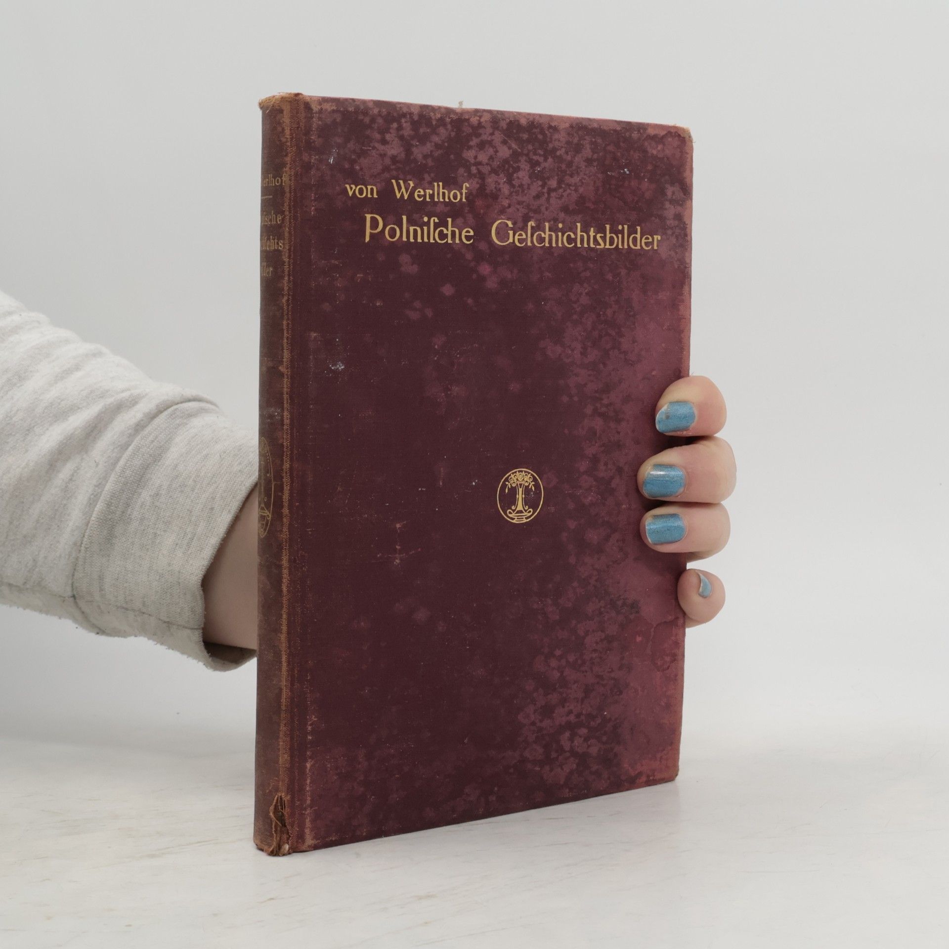 Polnische Geschichtsbilder