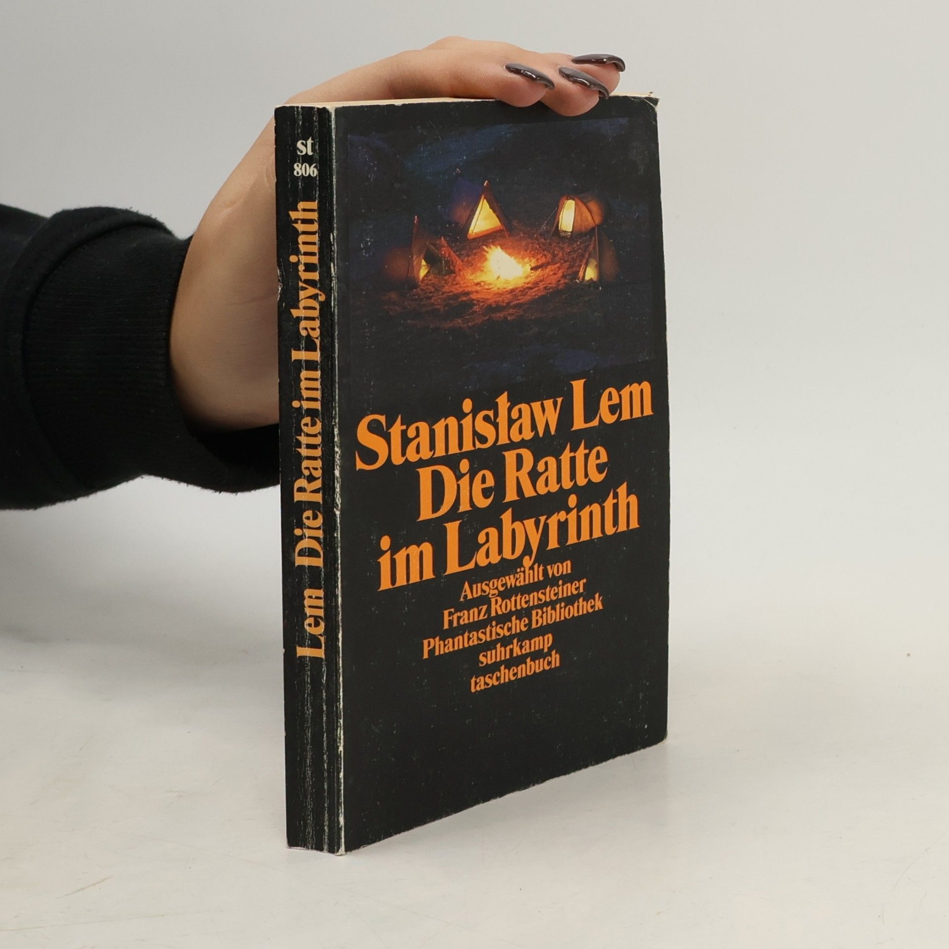 Die Ratte im Labyrinth