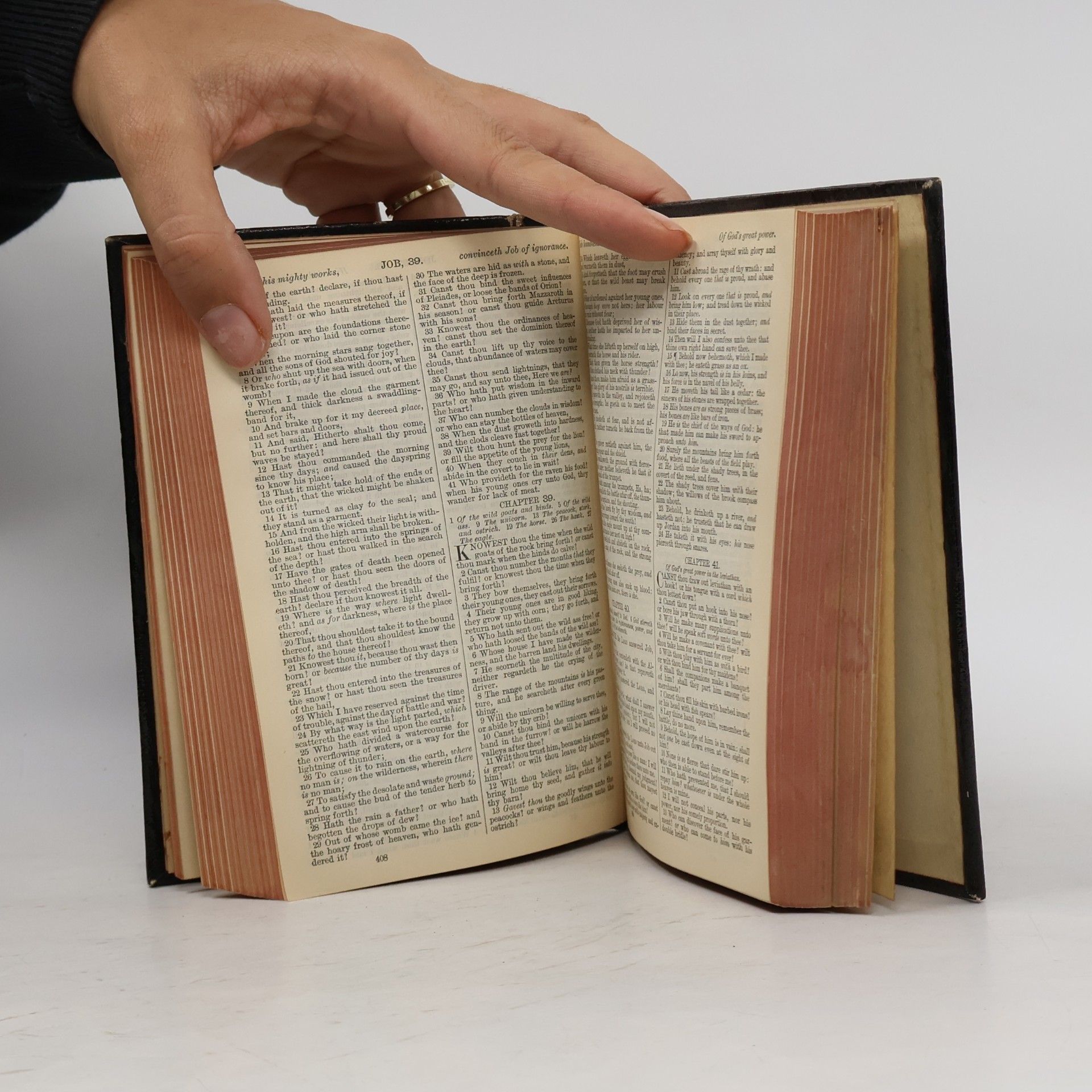 Various authors The Holy Bible Containing the Old and New Testaments