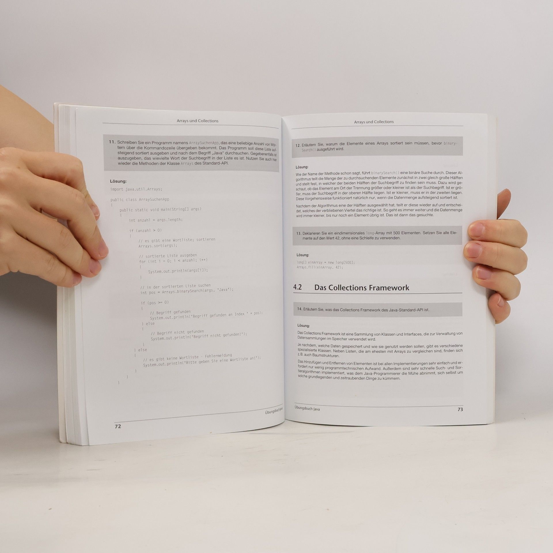 Alexander Niemann Der bhv-Co_372ch [bhv-Coach] Übungsbuch Java