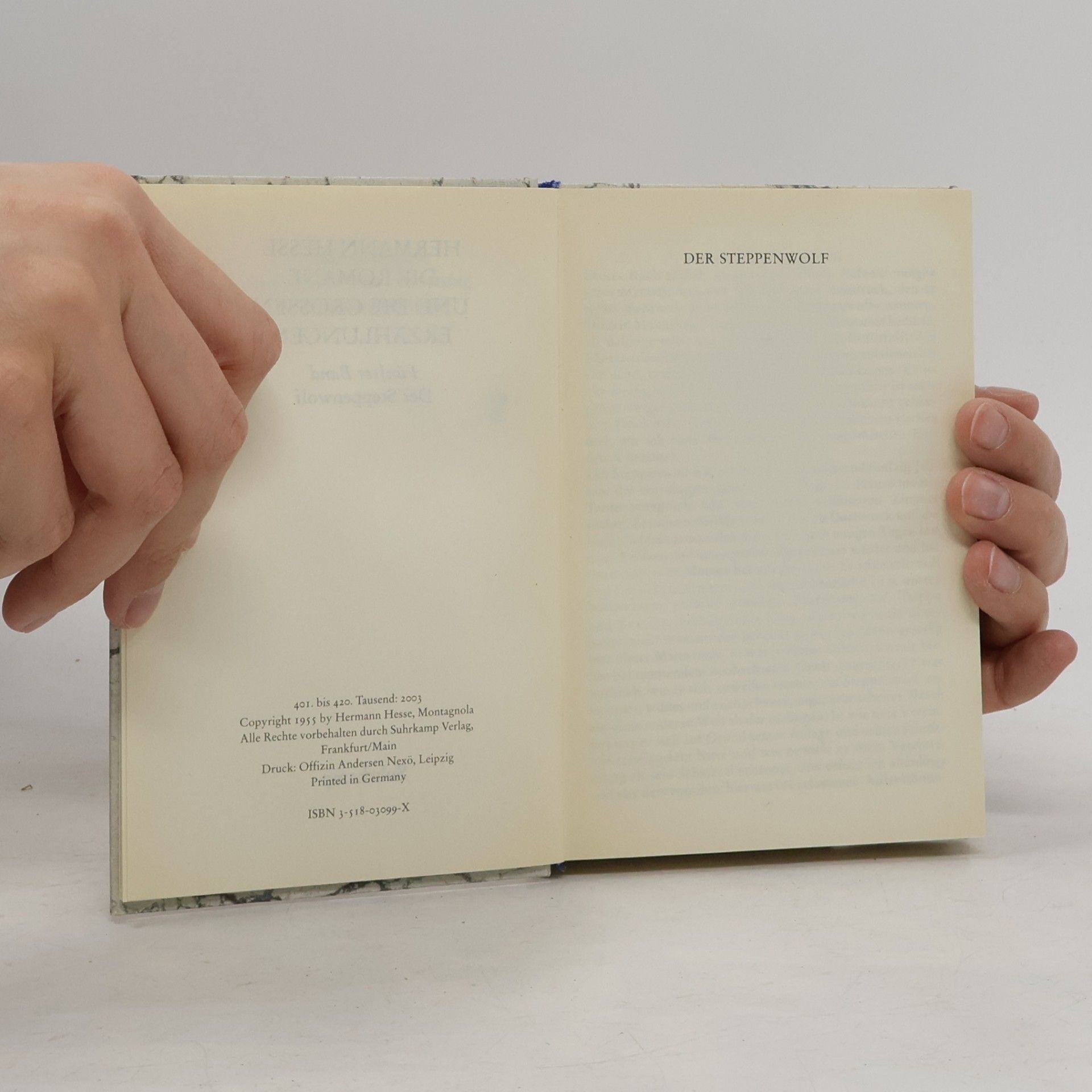 Hermann Hesse Demian Wanderung 1.-8.