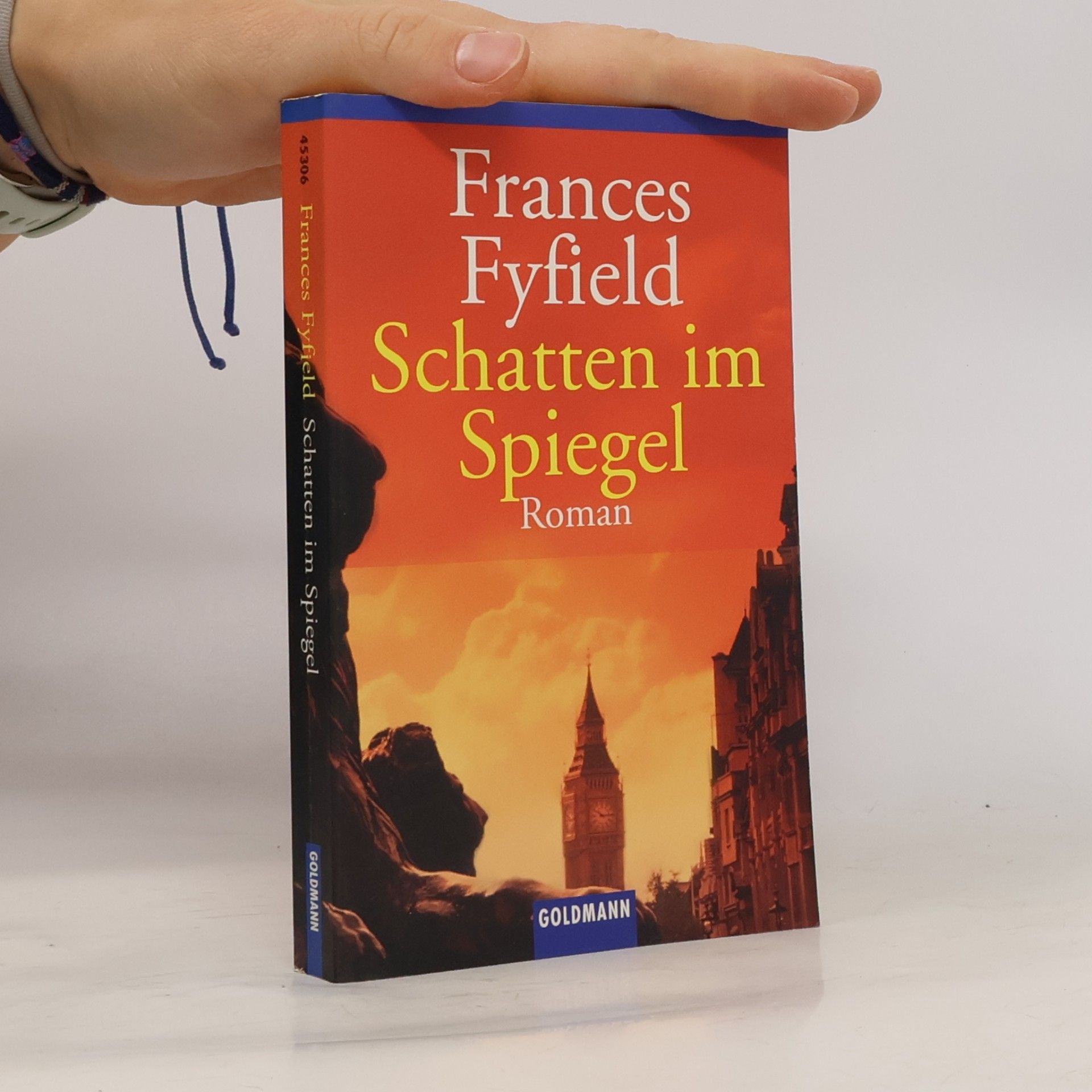Schatten im Spiegel