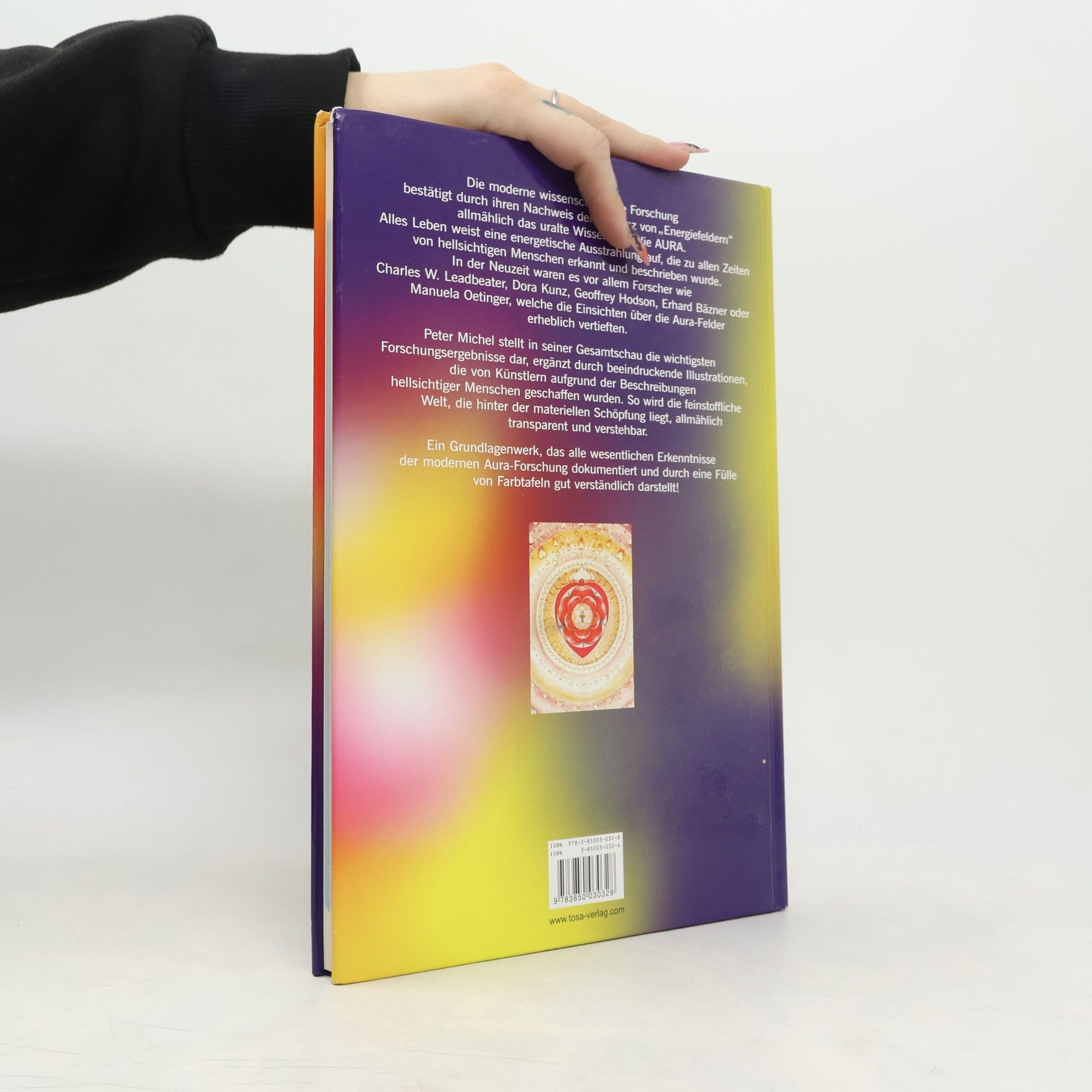 Peter Michel Das grosse Aura-Buch