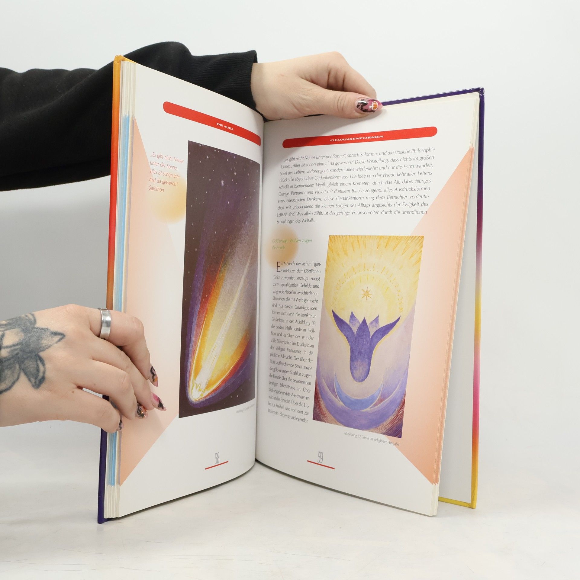 Peter Michel Das grosse Aura-Buch