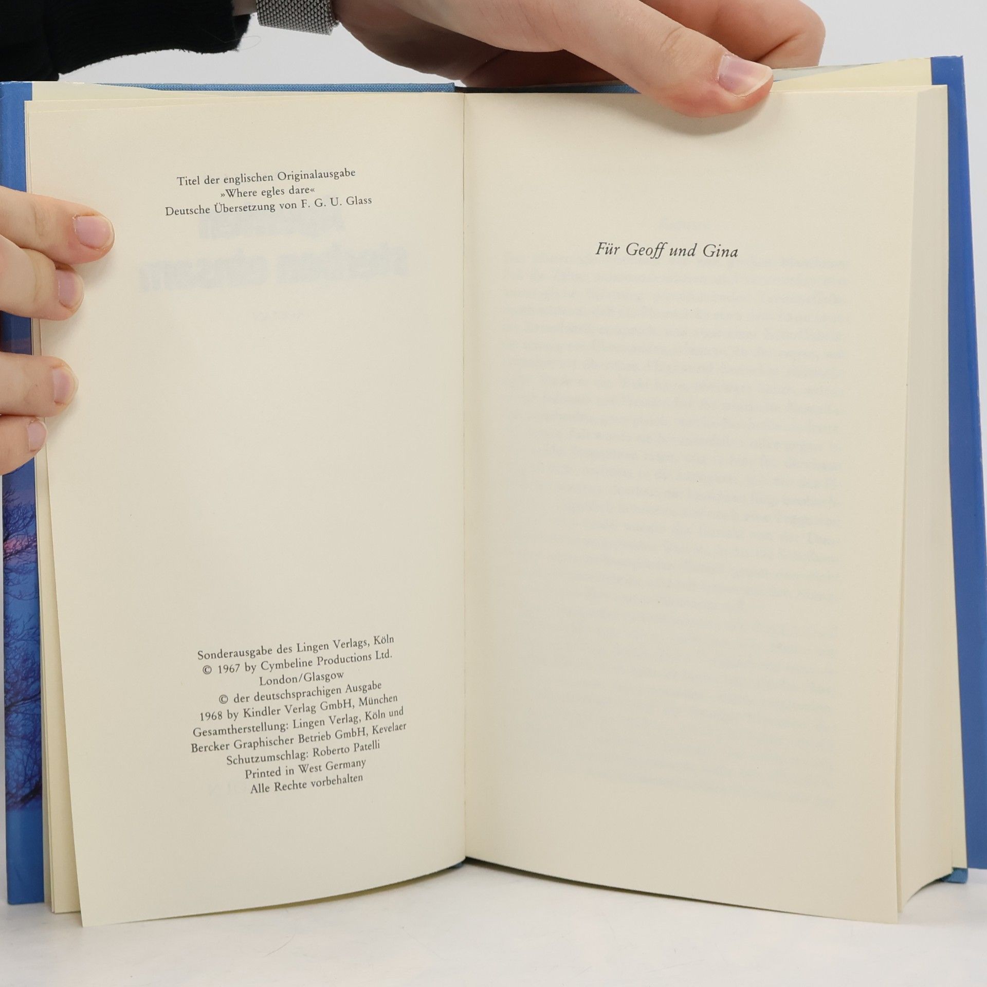 Alistair MacLean Agenten sterben einsam