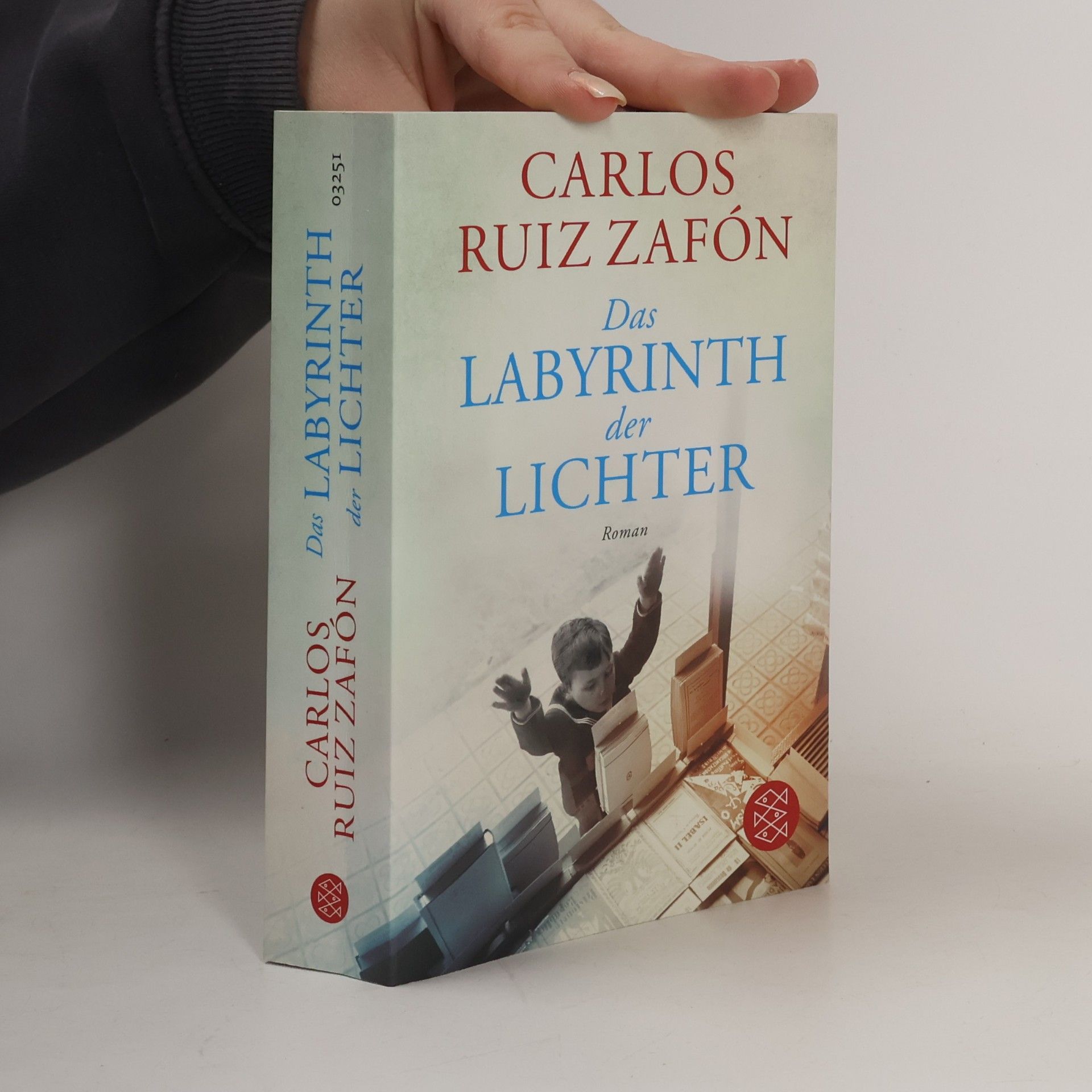 Carlos Ruiz Safon Das Labyrinth der Lichter