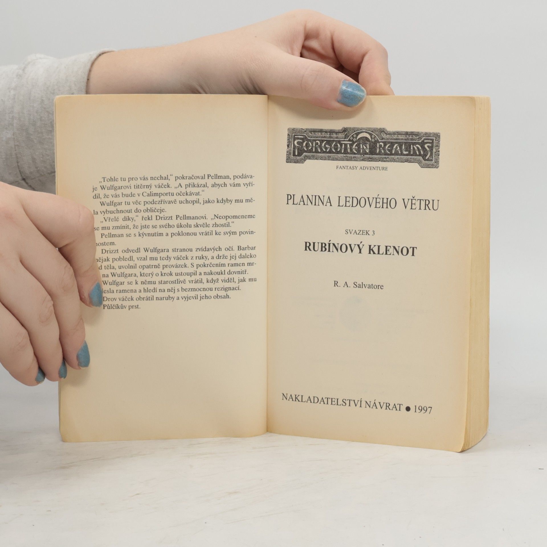 R. A. Salvatore Planina ledového větru 3. Rubínový klenot