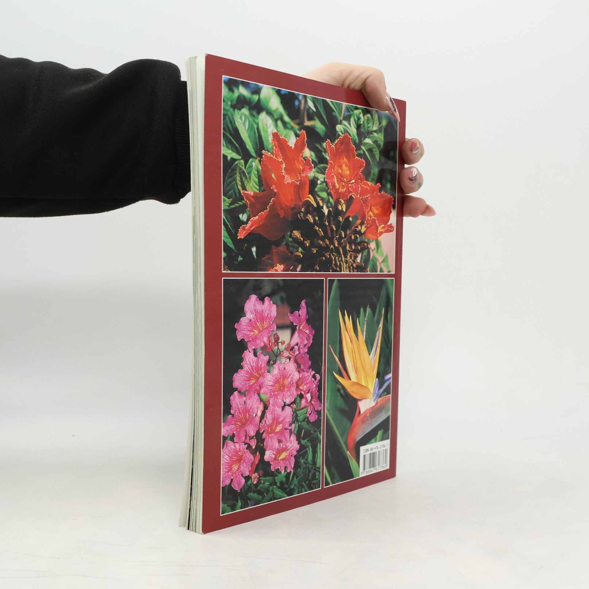 Bruno Foggi Blumenwelt der Kanaren - Deutsche Ausgabe