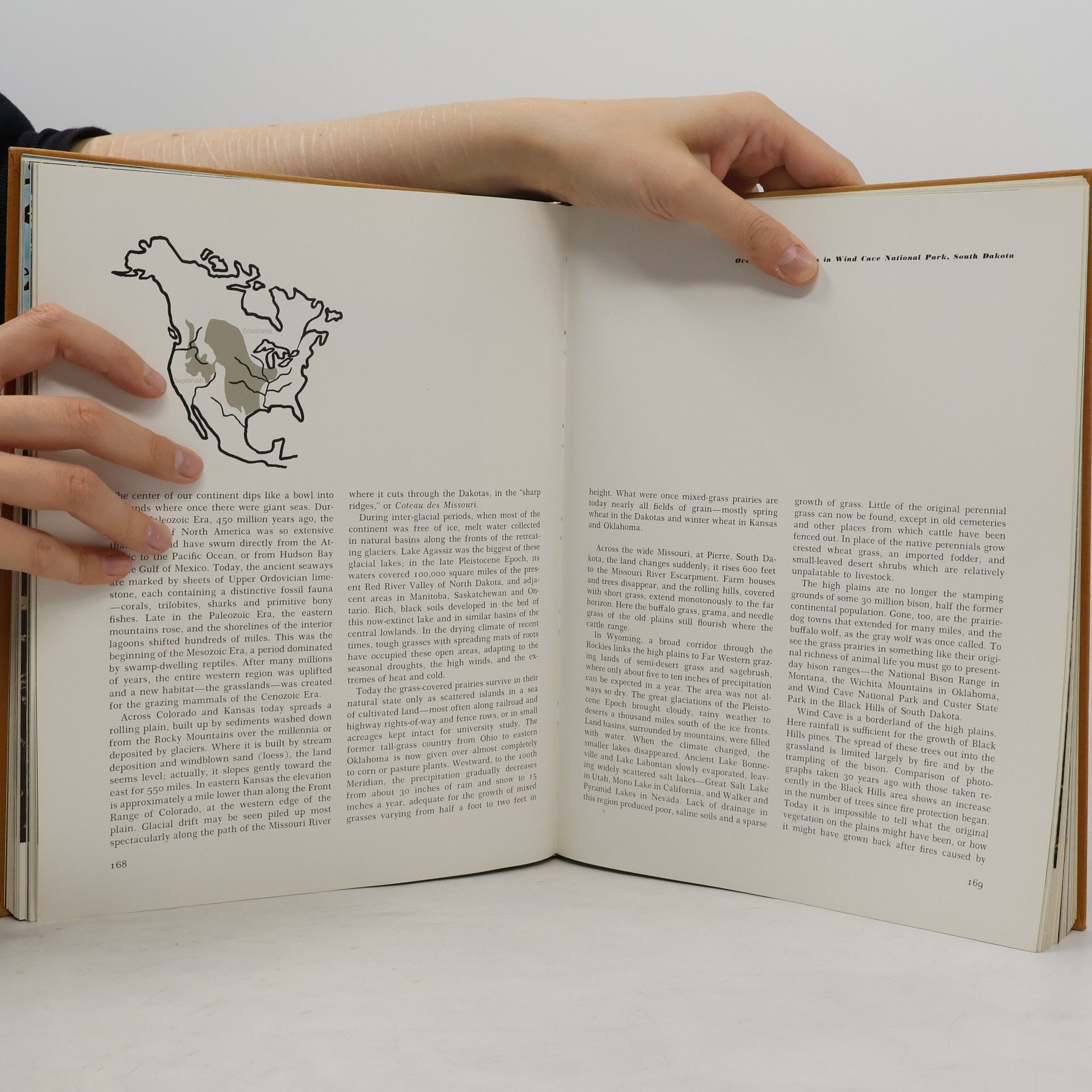 Shelly Grossman Our Vanishing Wilderness