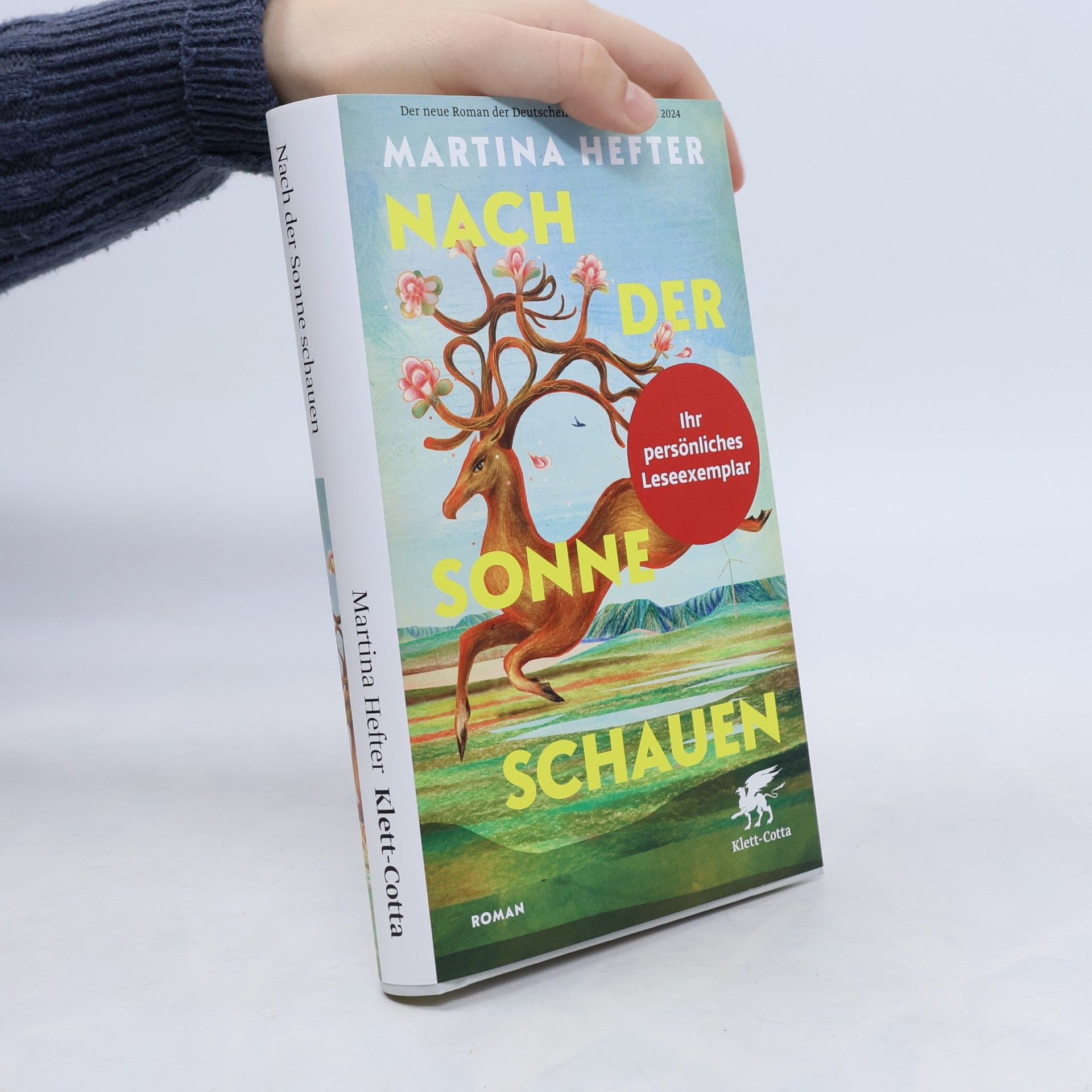 Nach der Sonne schauen: Roman