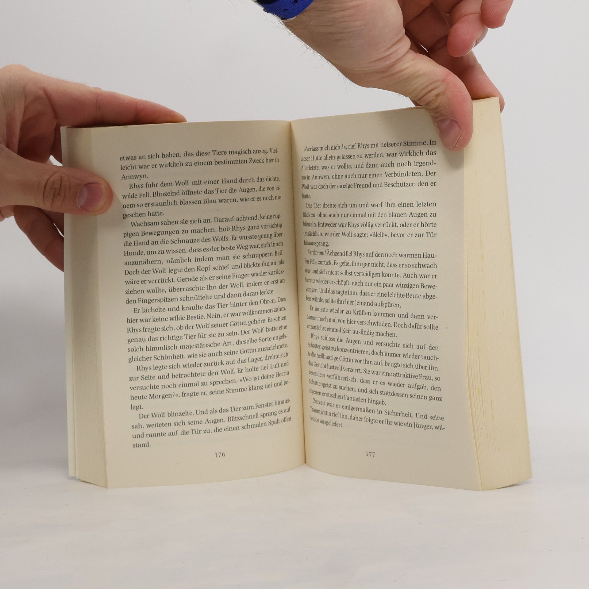 Sophie Renwick Velvet Haven - Pforten der Finsternis. Roman