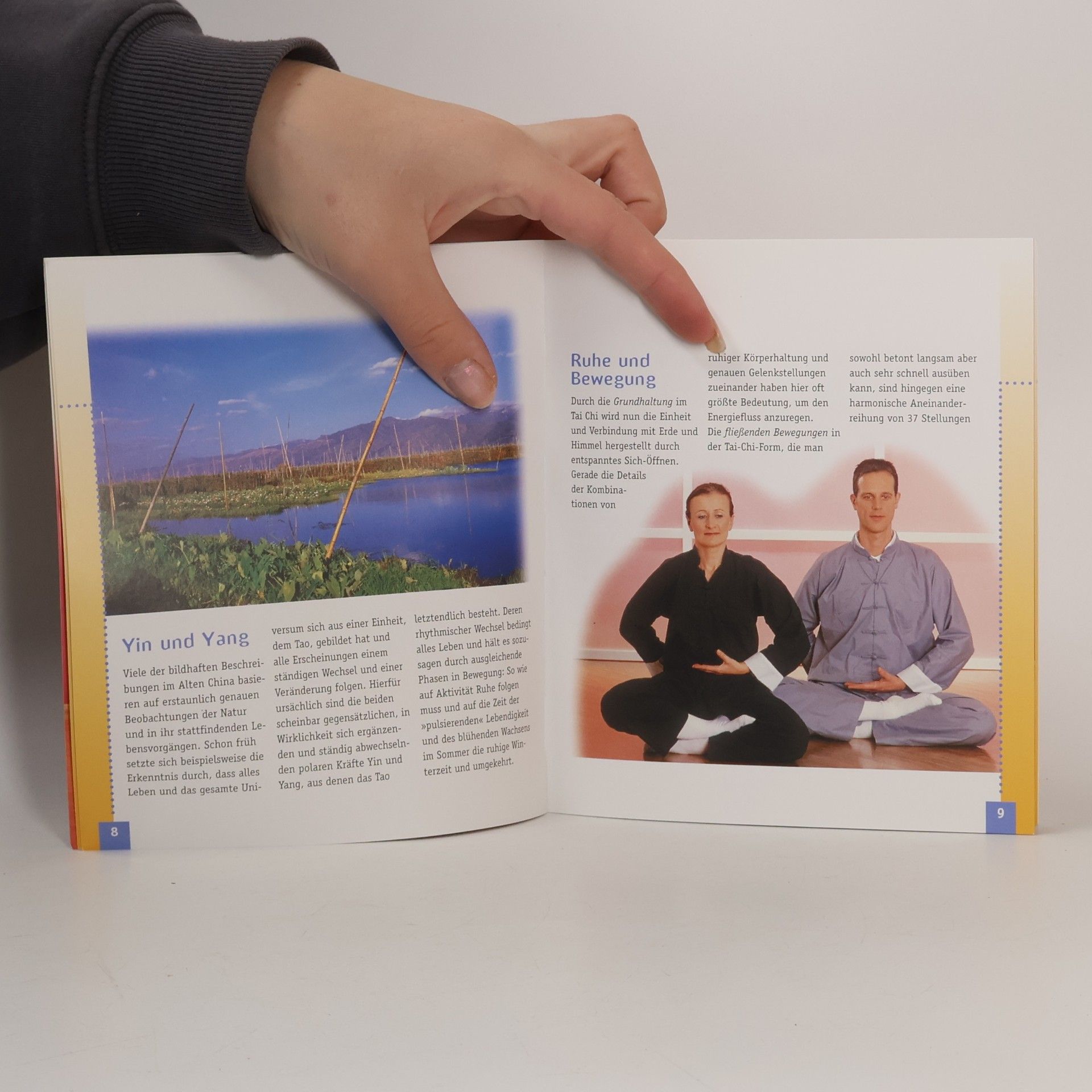 Michael Hilt Tai Chi